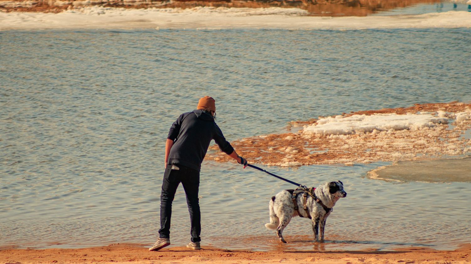 A dog and walker explore the sandy shoreline of a calm lake or ocean.