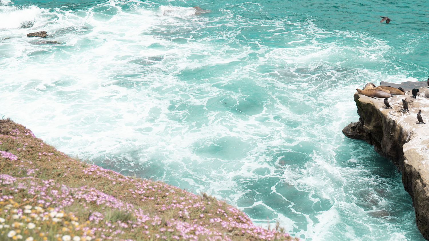 Dramatic coastline with crashing turquoise waves against rocky cliffs and purple wildflowers.
