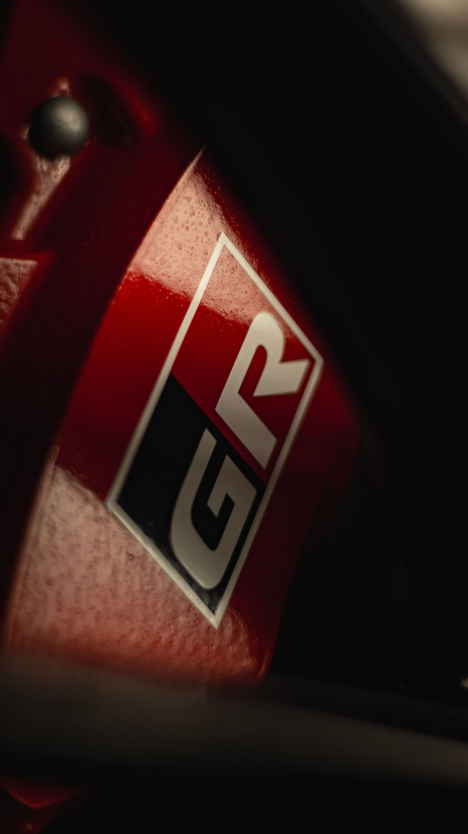 Macro shot of red GT-R badge detail in dramatic lighting.