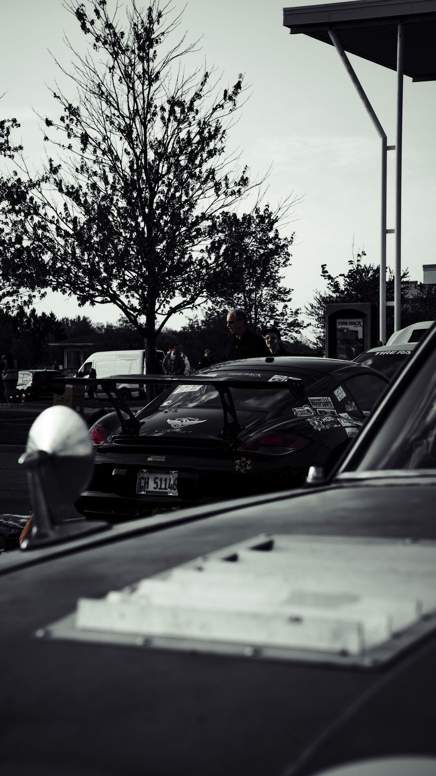 Black and white panoramic view of cars parked under trees in a parking lot.
