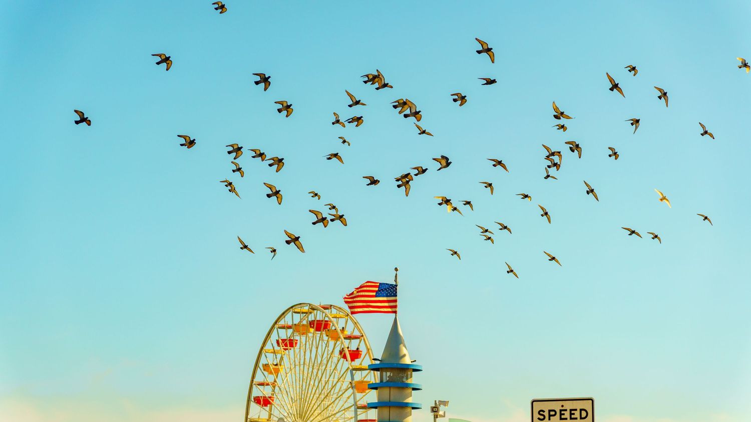 Flock of birds flying over Santa Monica Pier sign during sunset.