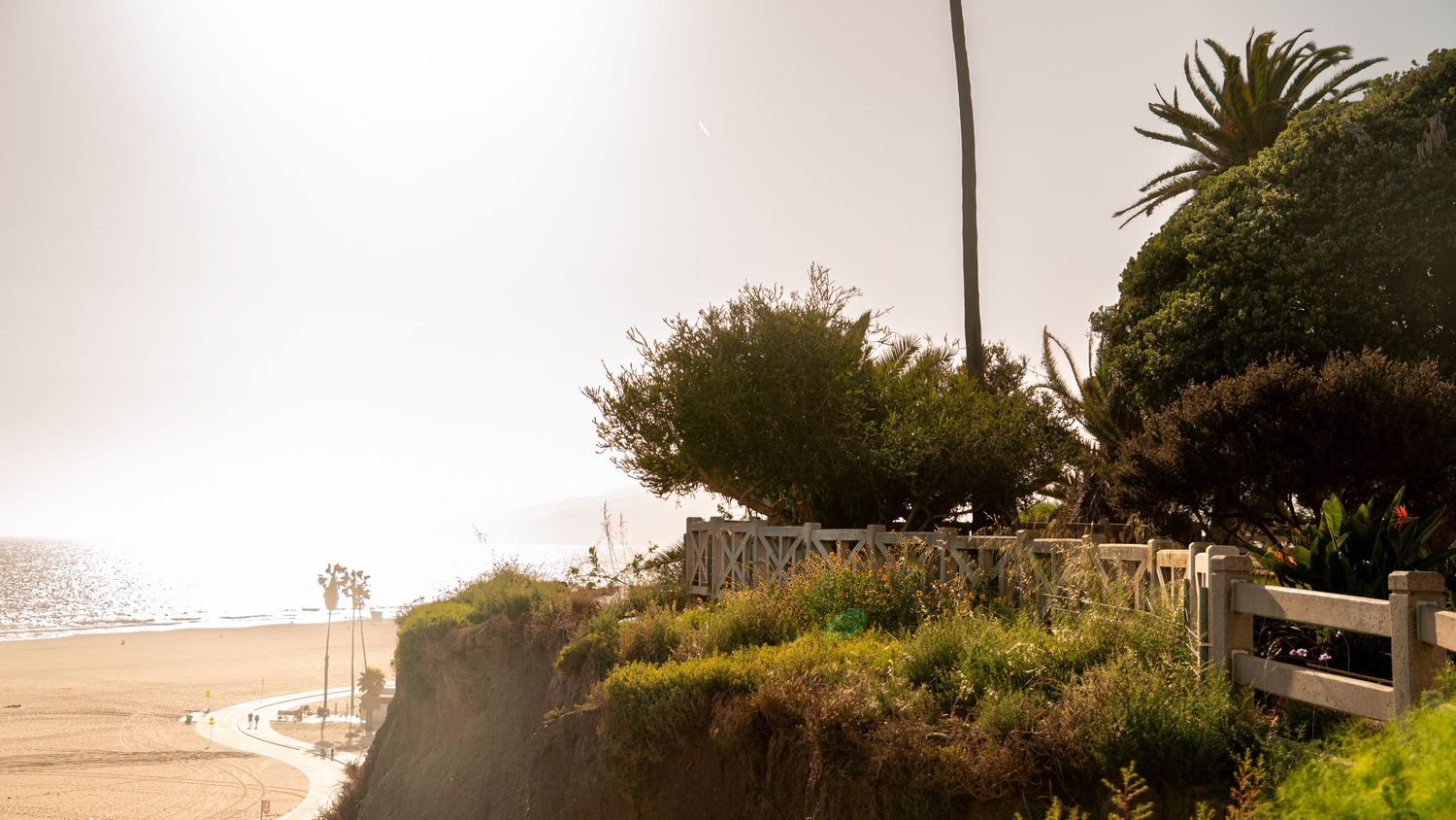 Palm trees and coastal vegetation line the edge of an expansive beach with distant buildings.