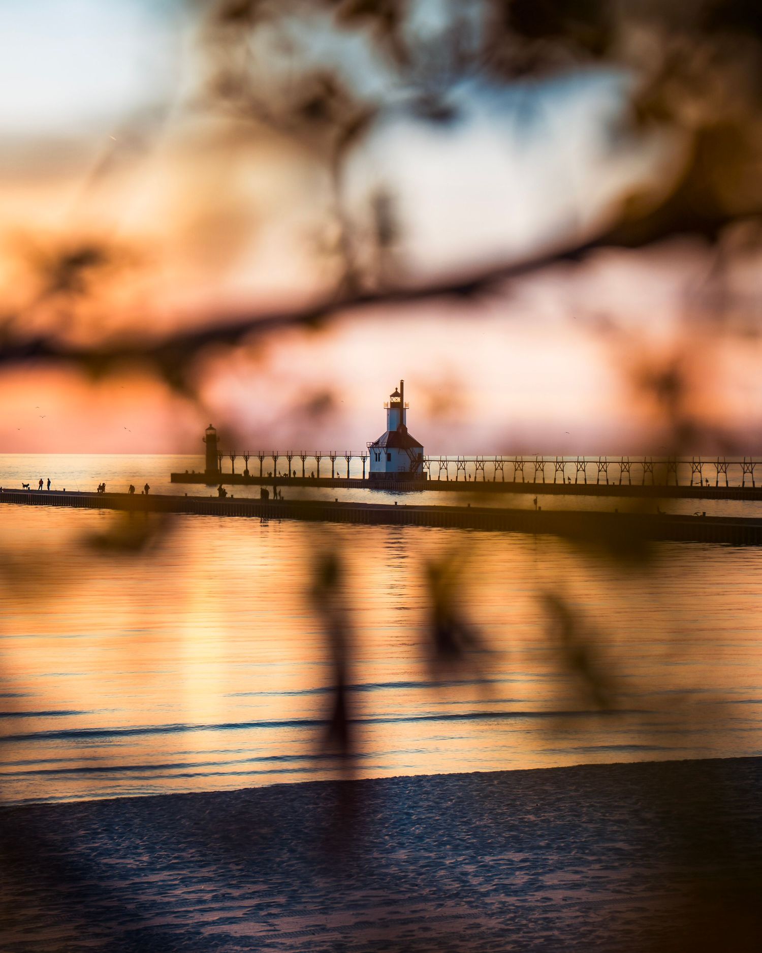Blurred foreground branches with lighthouse pier in focus during dramatic sunset.