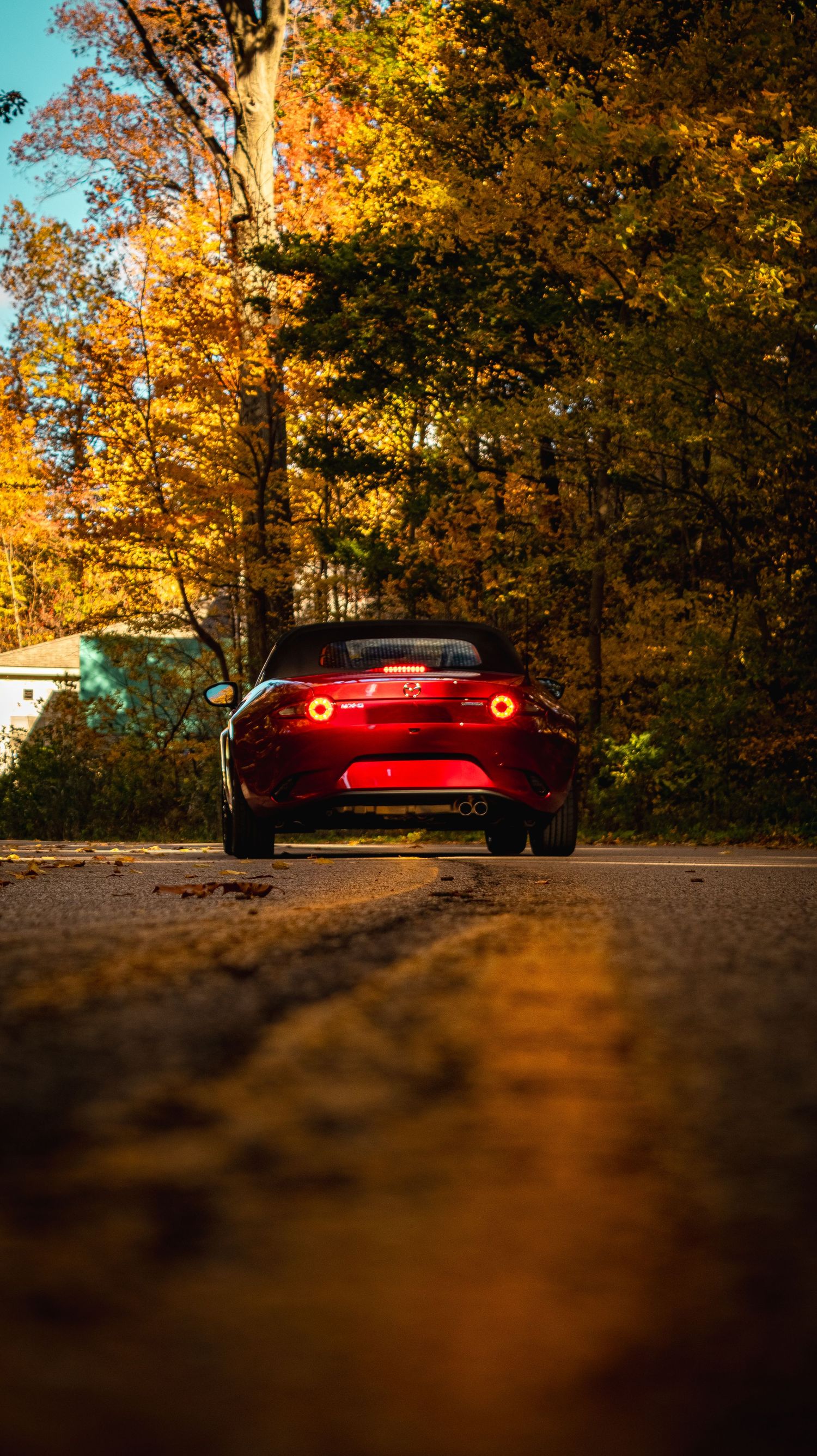 Red Mazda sports car with glowing taillights on autumn road surrounded by golden trees.