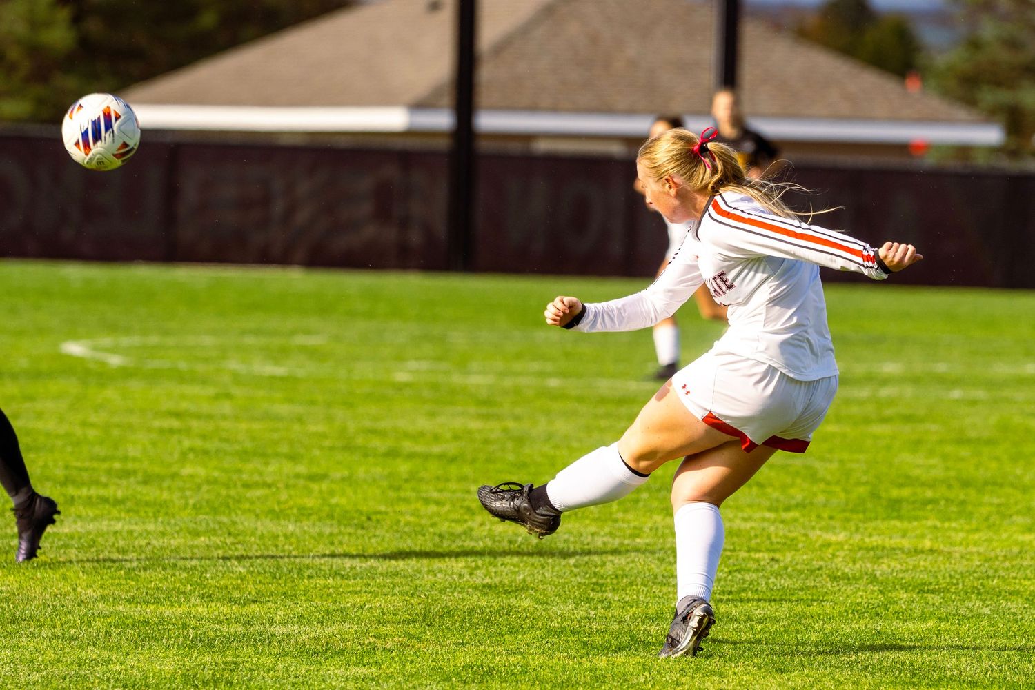 Soccer player leaps and stretches to make a dramatic diving save on a bright green field.