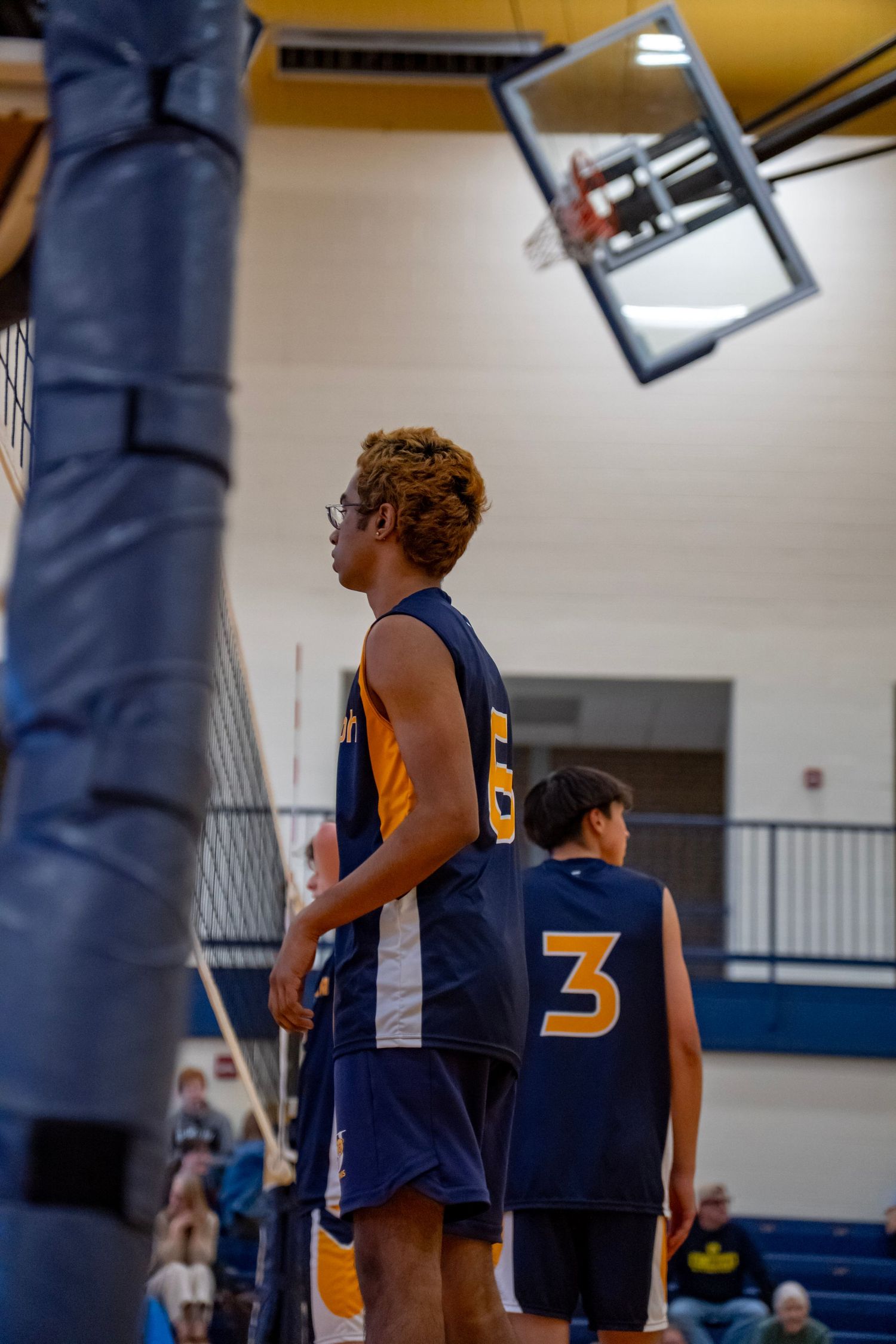 Players in navy and gold jerseys stand ready during a volleyball match in a gymnasium.