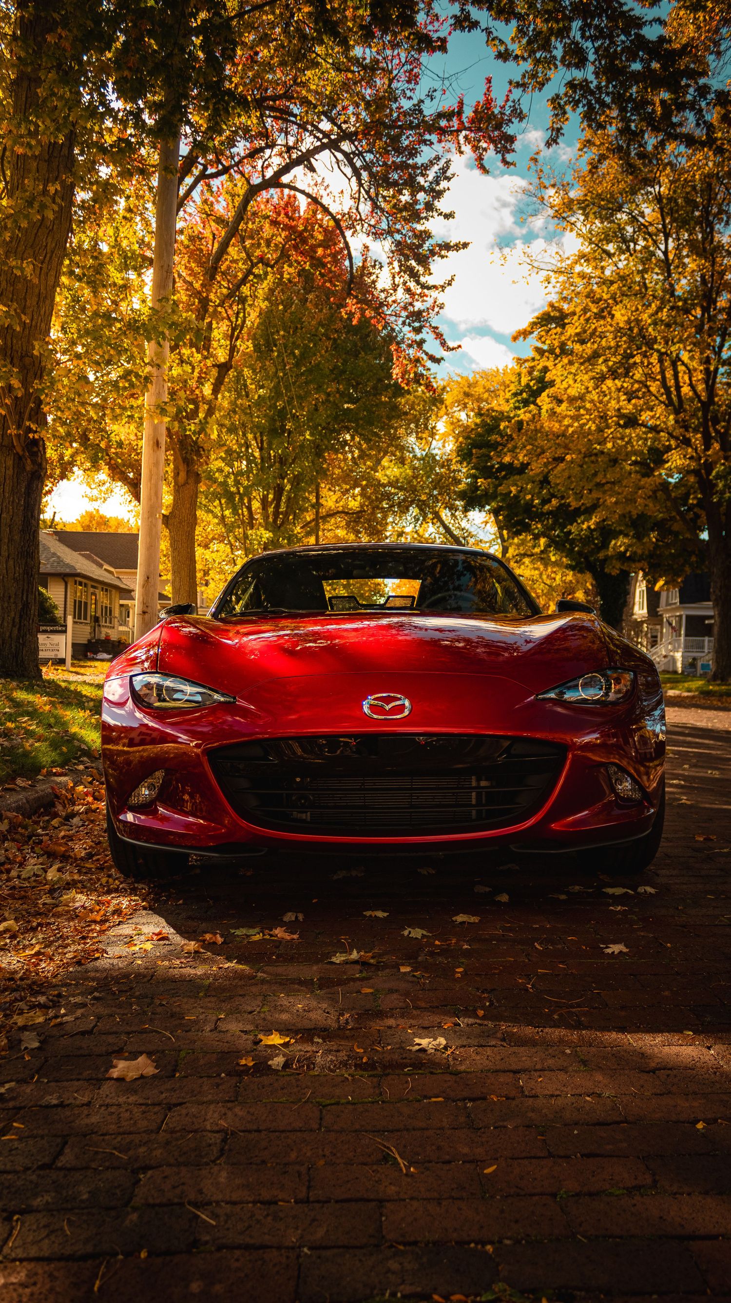 Red Mazda MX-5 Miata parked on autumn street with golden foliage and sunlight filtering through trees.