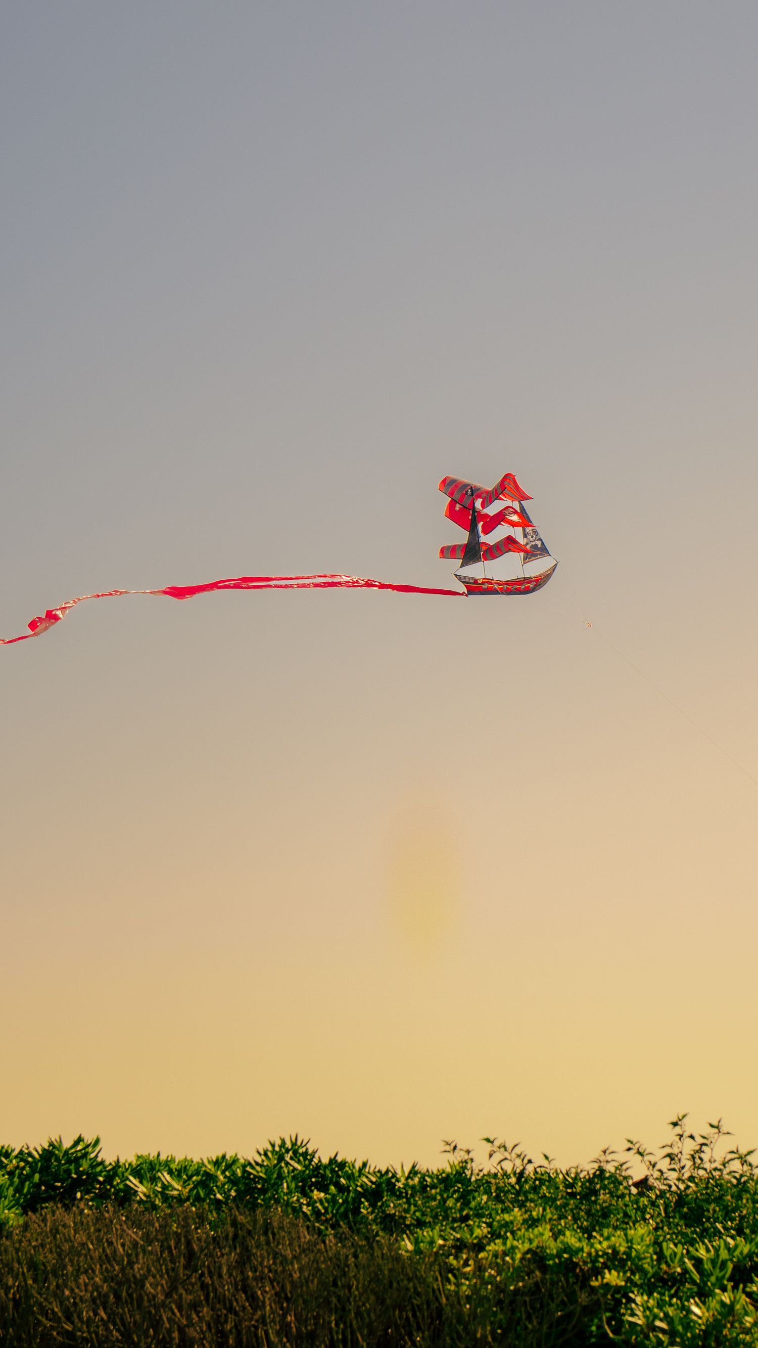 Long red and white kite flying in the sky above green shrubbery at sunset.