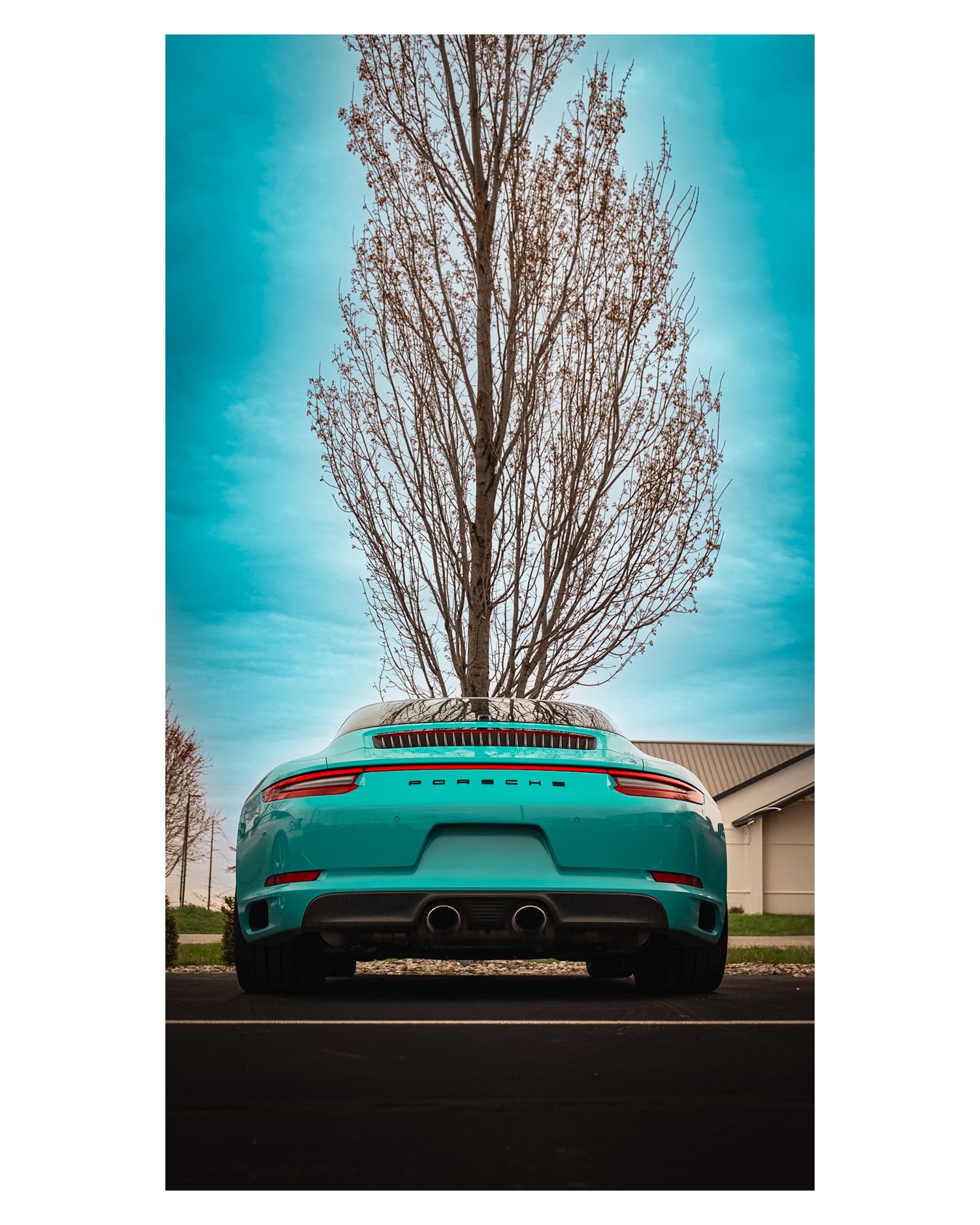 Rear view of a turquoise Porsche 911 with a bare tree against blue sky.