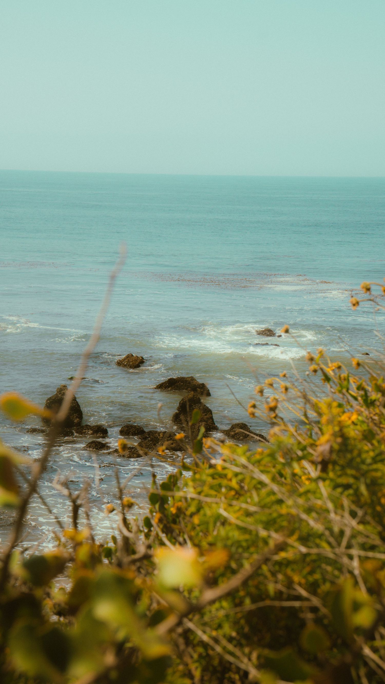 Rocky coastline with turquoise waters and yellow wildflowers framing the rugged shoreline view.