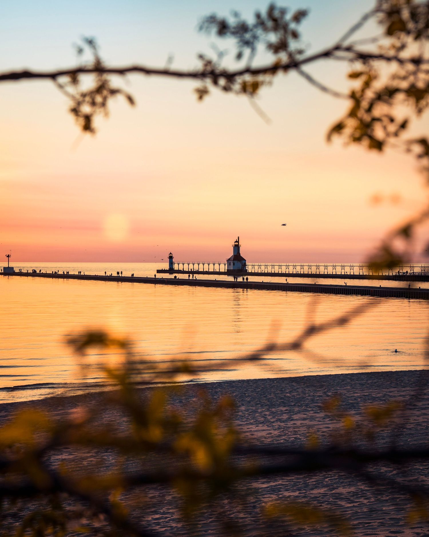 Lake Michigan lighthouse pier viewed through autumn tree branches at sunset.