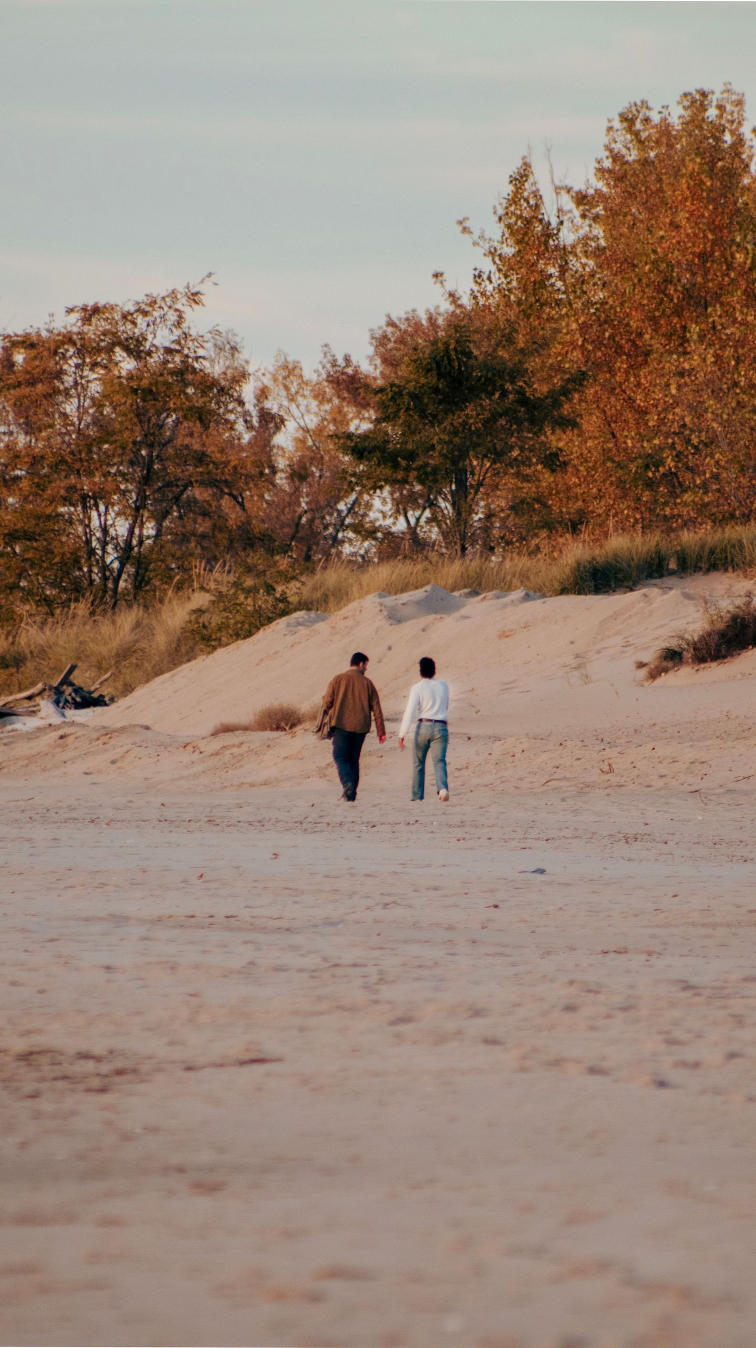 Two people walking on sandy dunes with autumn trees in background during sunset.