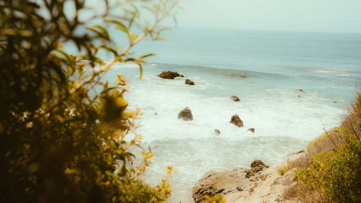 Rocky beach vista framed by yellow flowers with scattered stones in the surf.