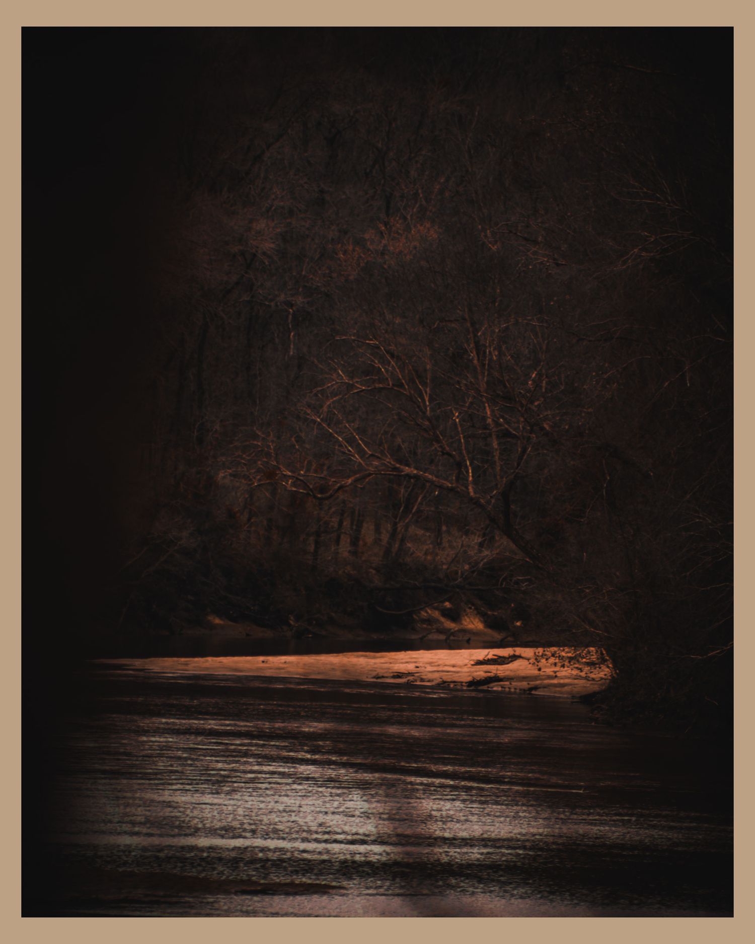 Moody dark forest scene with illuminated riverbank reflecting in still water.