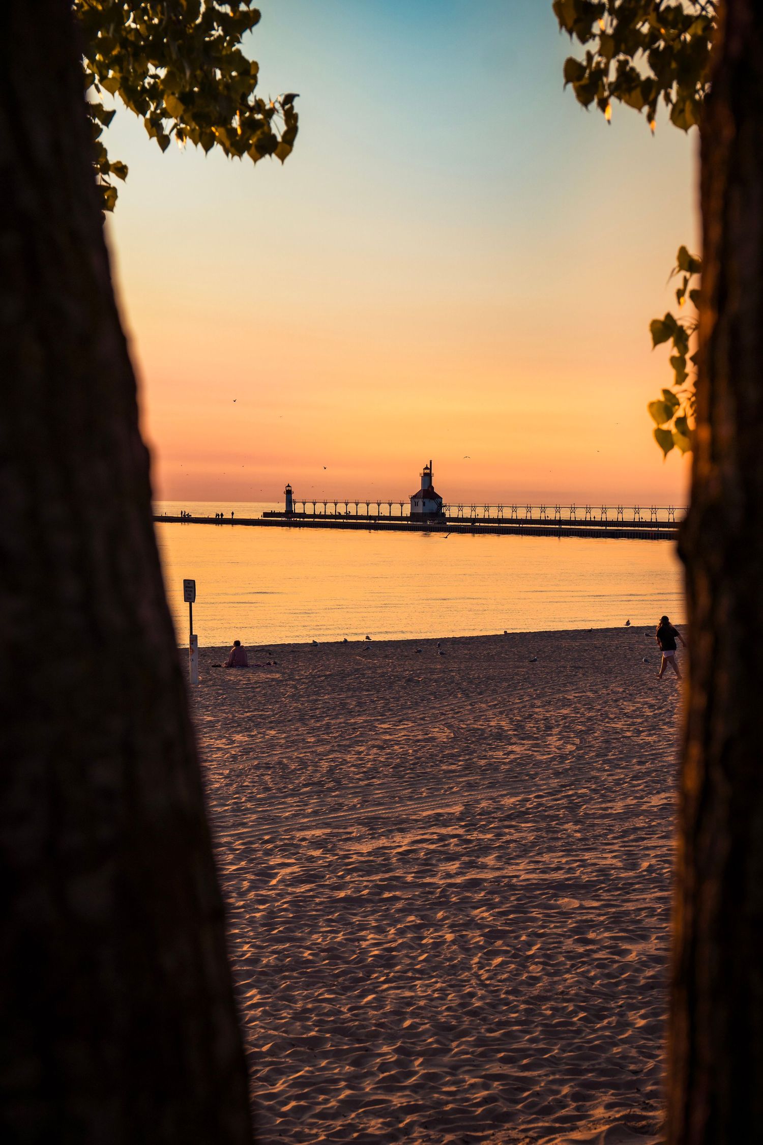 Beach lighthouse and pier framed between trees at sunset with sandy foreground.