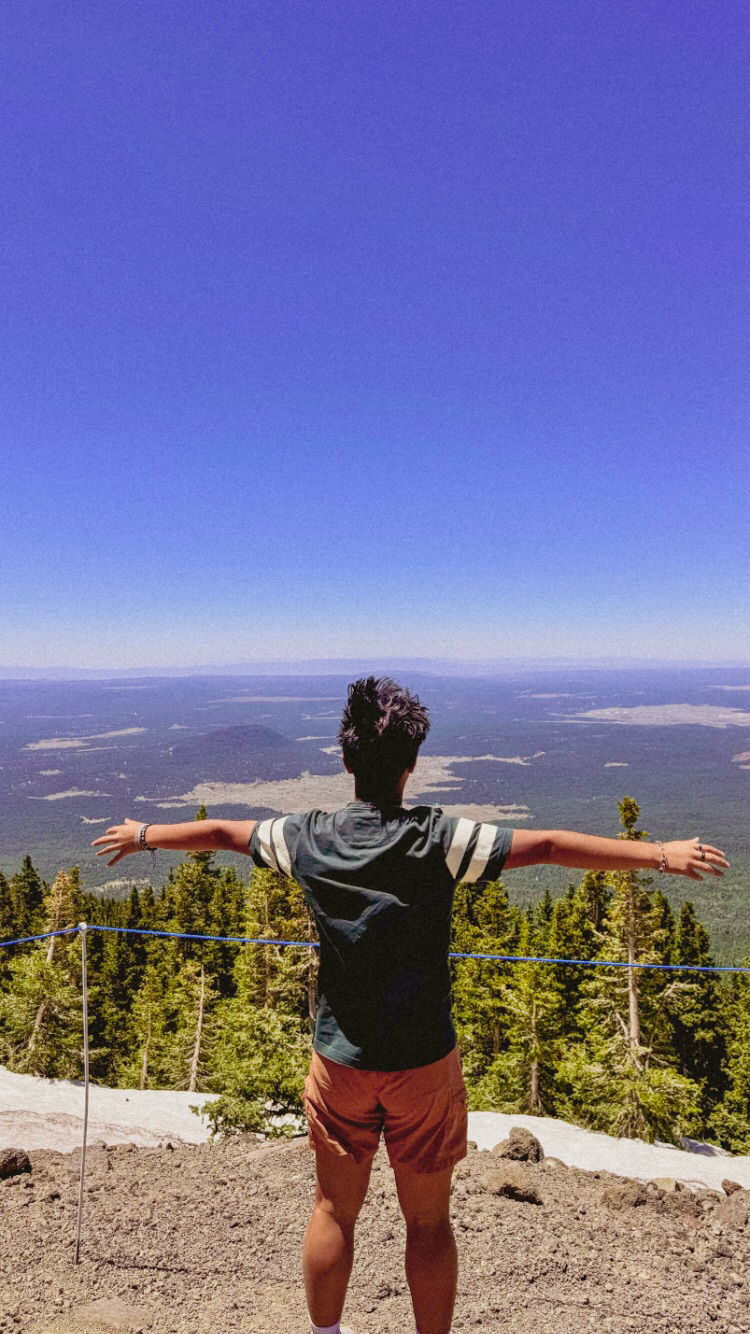 Person stands on mountaintop with arms spread wide overlooking vast forest landscape.