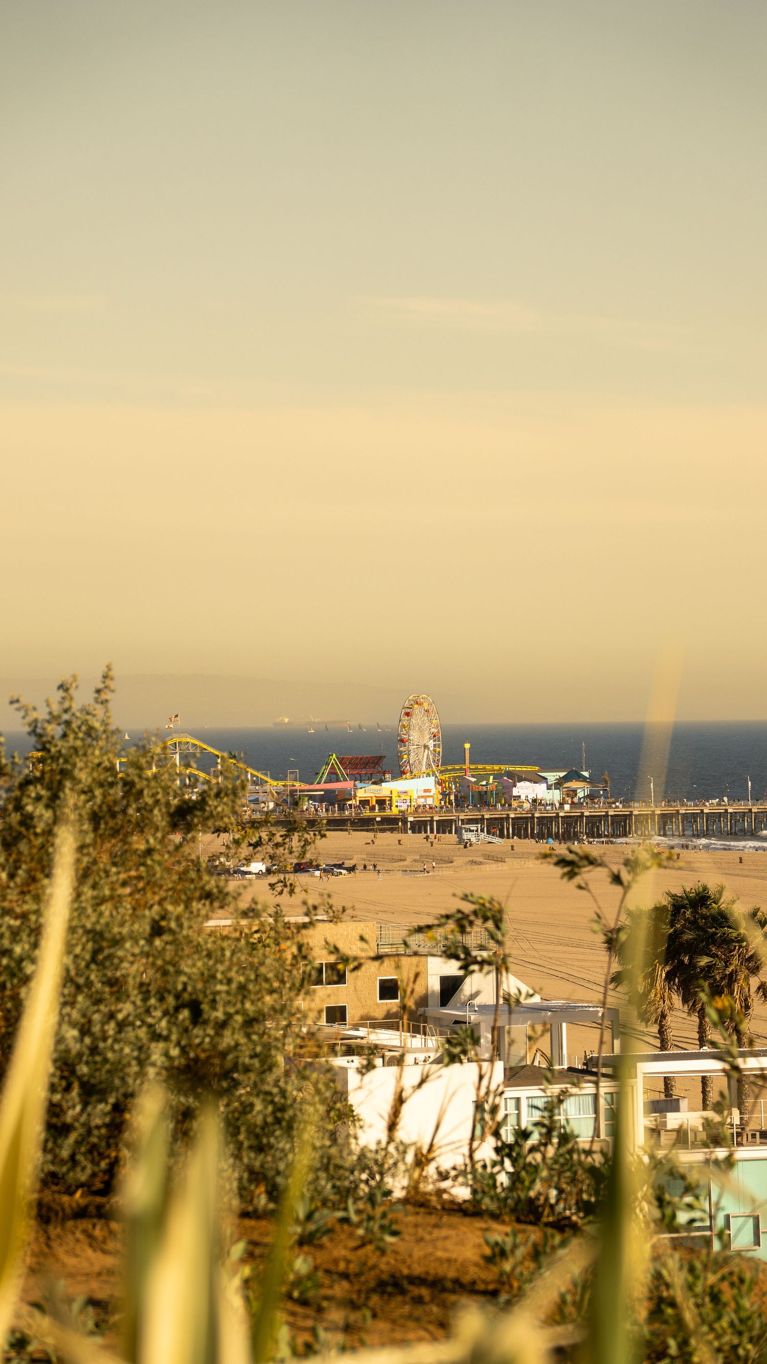 Santa Monica Pier and coastline viewed from a distance through foreground vegetation.