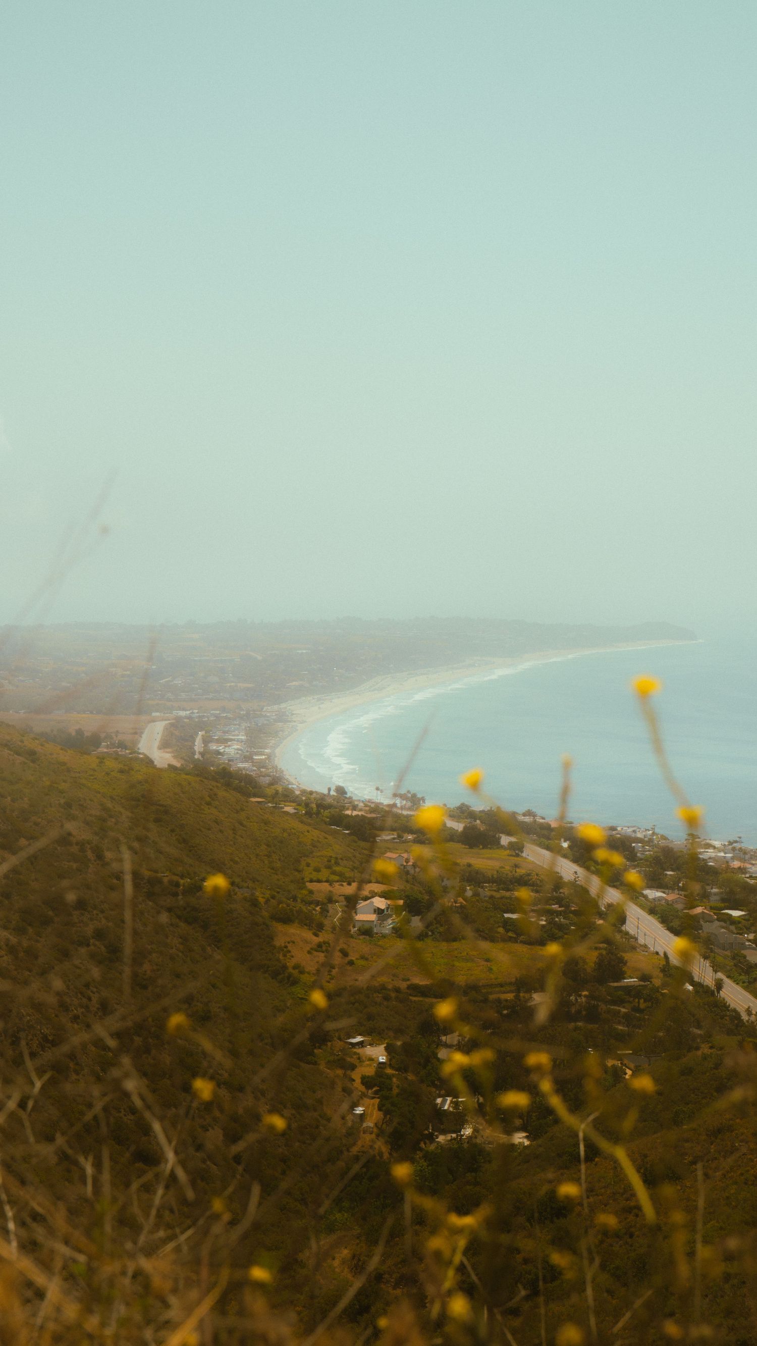 Yellow wildflowers frame a panoramic view of a coastal town and winding shoreline road.