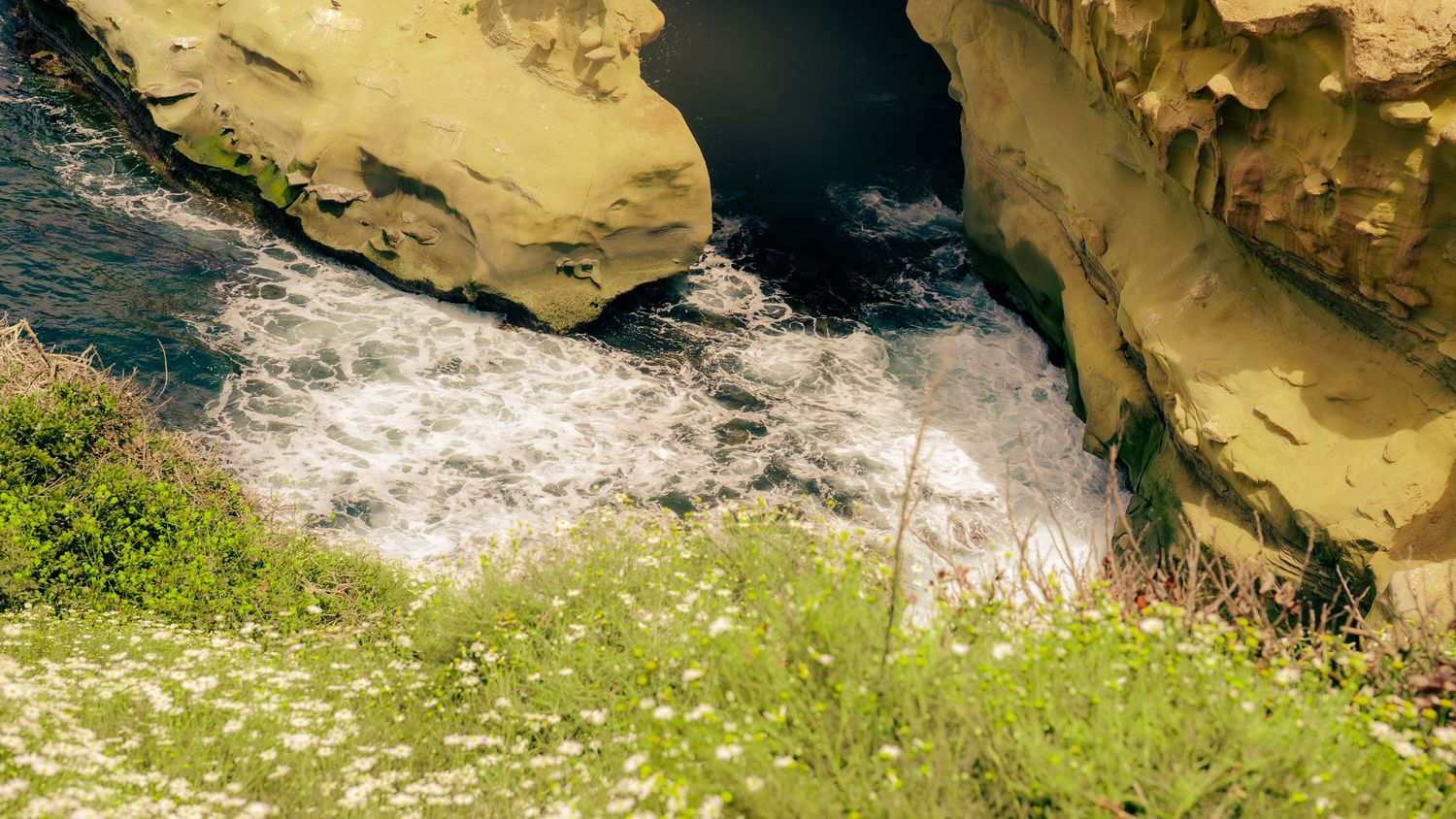 Rushing white water crashes against yellow limestone cliffs with wildflowers in foreground.