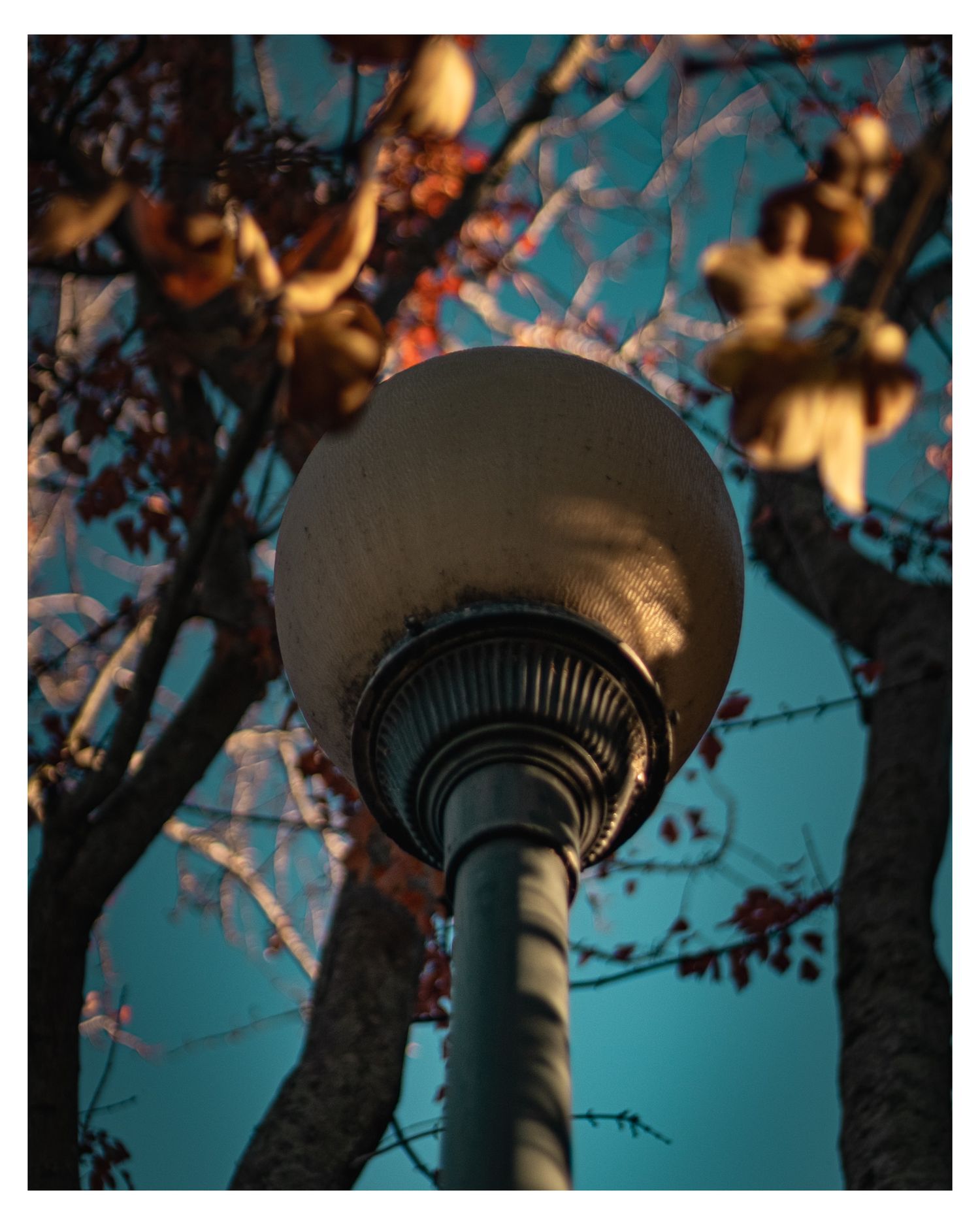 Vintage street lamp with ornate glass globe against a blue twilight sky with autumn leaves.