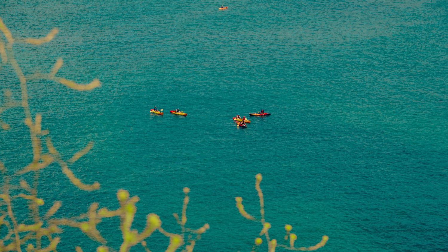 Distant kayakers paddle through crystal clear turquoise waters viewed through branches.