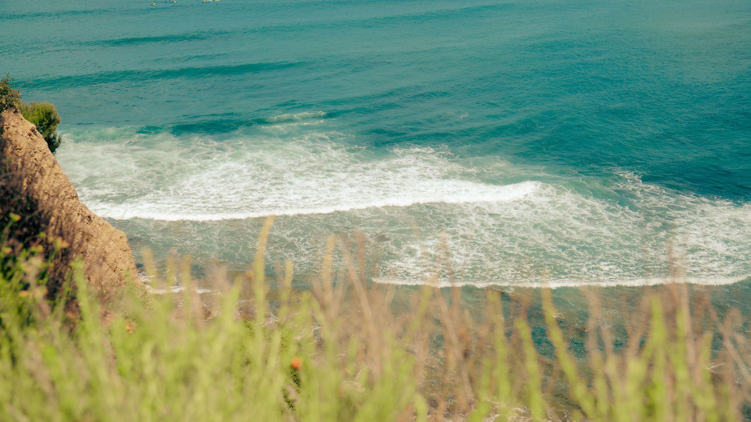 Gentle turquoise waves break along a distant shoreline viewed through beach grass.