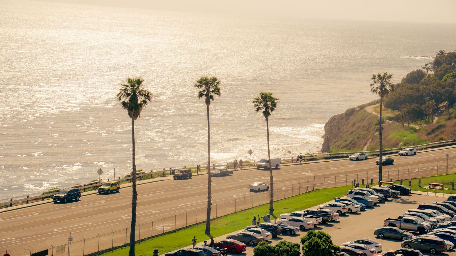Coastal parking lot with palm trees overlooking Pacific Ocean cliffs.