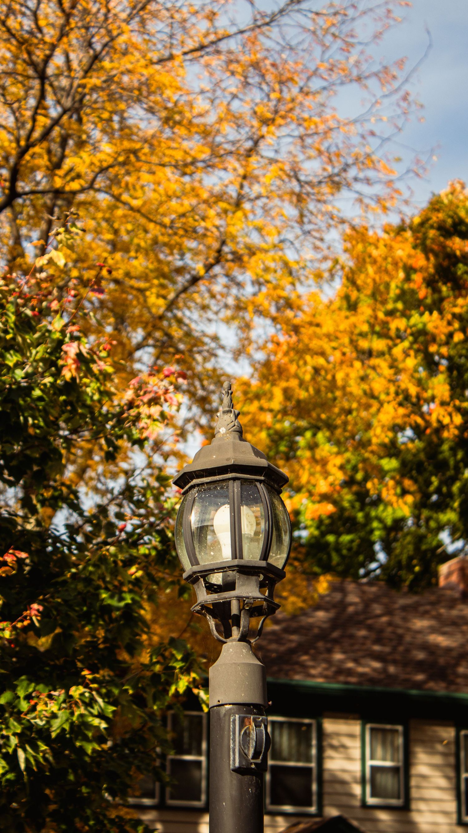 Vintage lamp post against backdrop of golden autumn leaves.