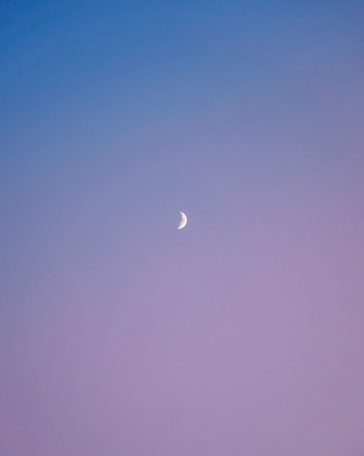 Half moon in gradient purple and blue twilight sky.