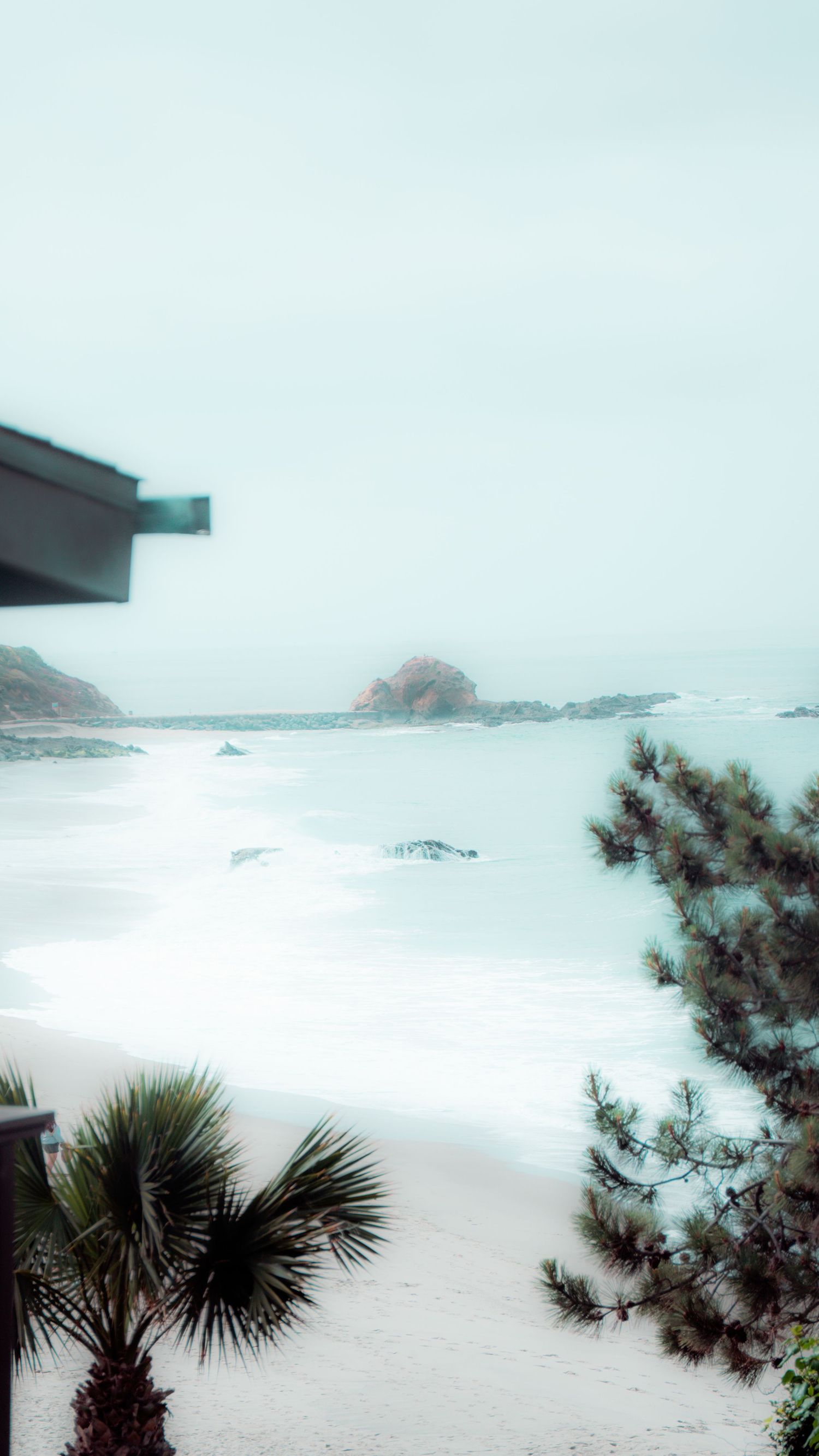 Misty coastal landscape with palm trees and rough surf on a cloudy day.