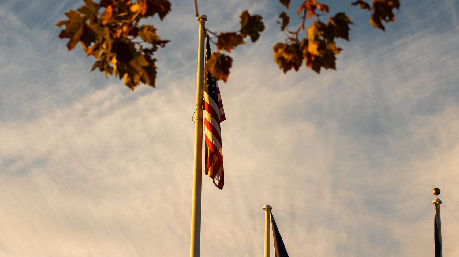 Low angle view of American flags against warm evening sky with fall leaves overhead.
