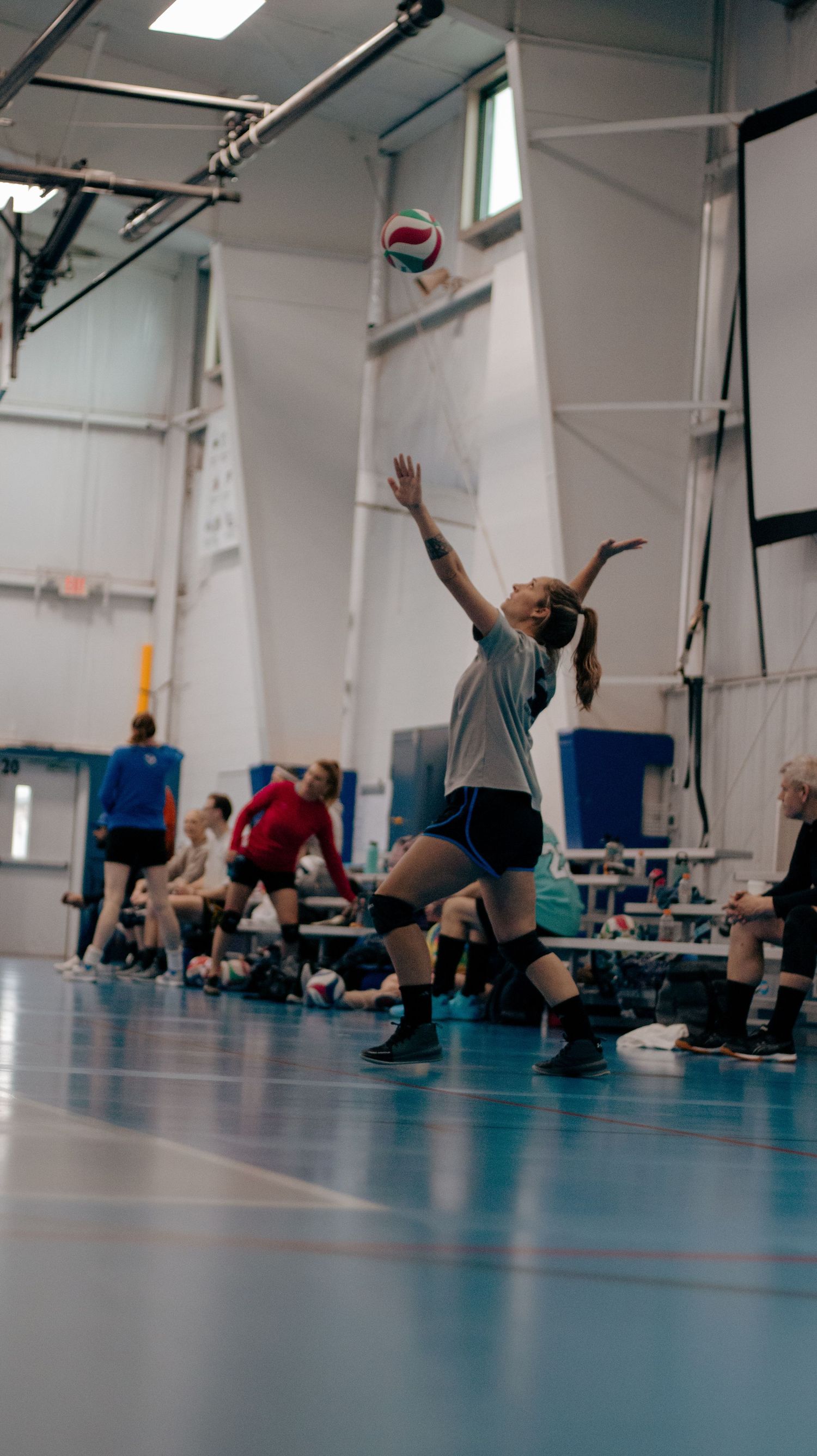 Indoor volleyball player leaps to serve the ball in a brightly lit gymnasium.