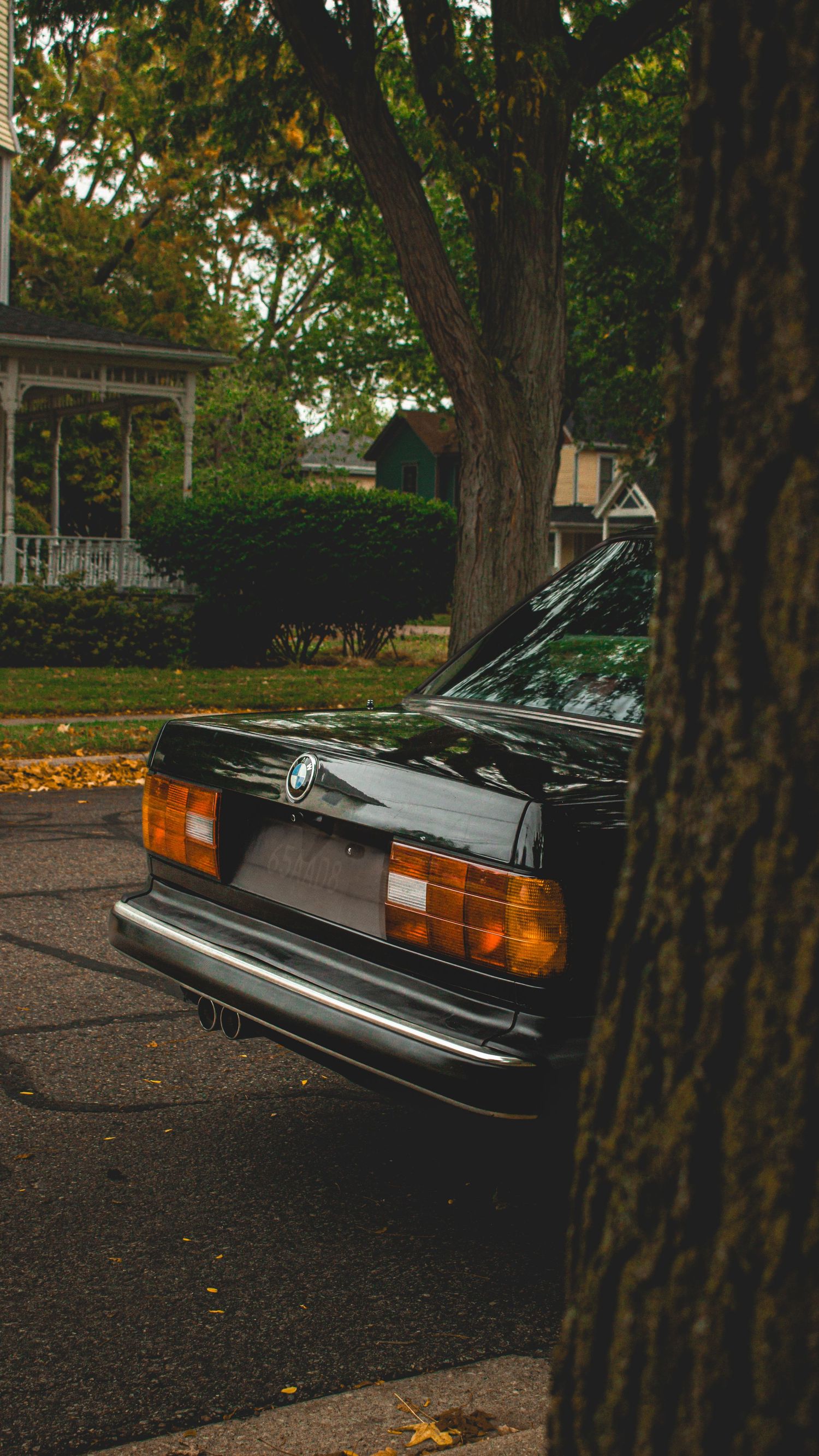 Partial rear view of classic BMW sedan among autumn trees in residential setting.