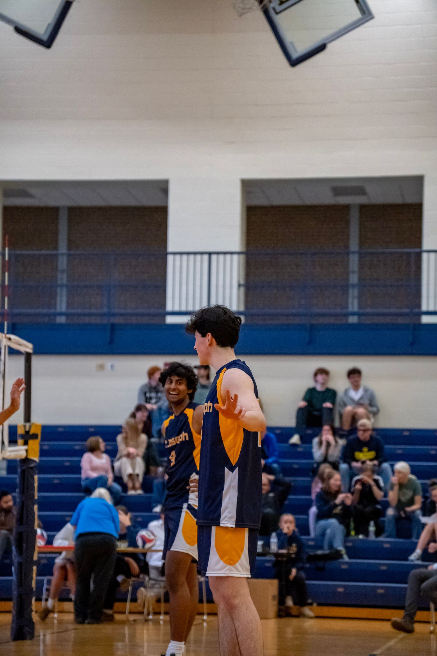 Volleyball players in navy and gold uniforms prepare for a play during an indoor match.