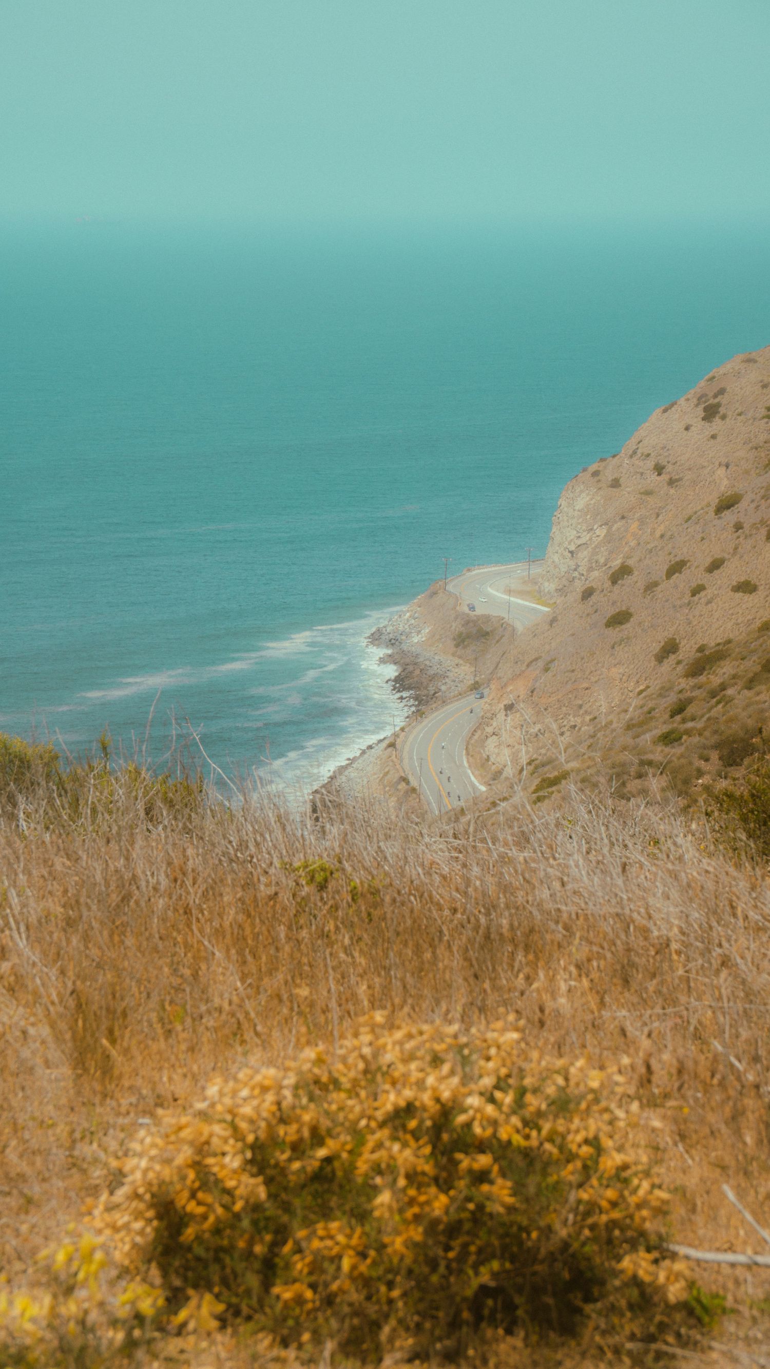 Coastal clifftop view with golden wildflowers overlooking a winding beach below.