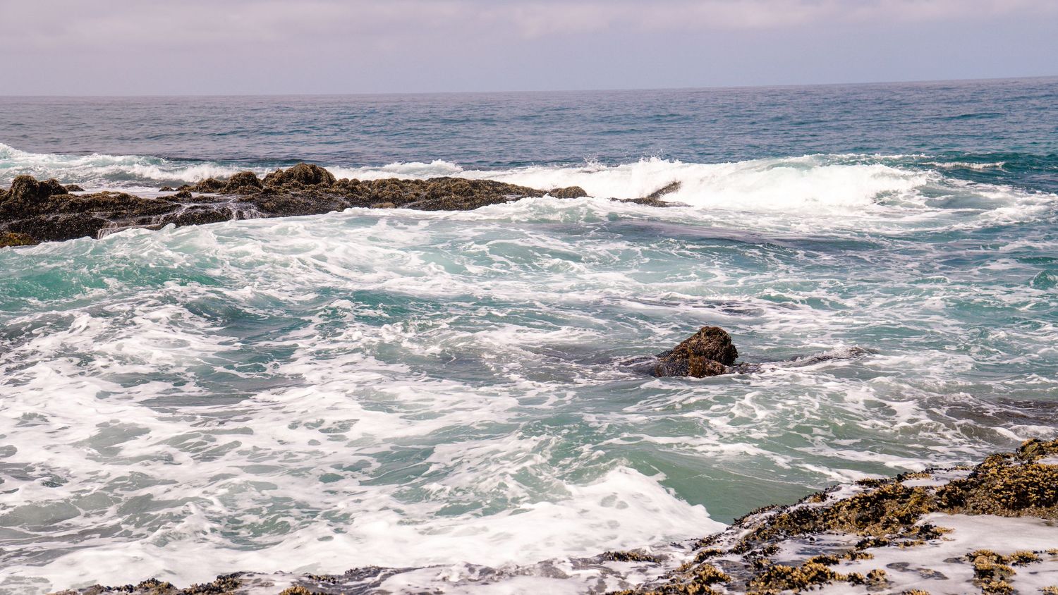 Powerful ocean waves break over jagged rocks along a rugged coastline.