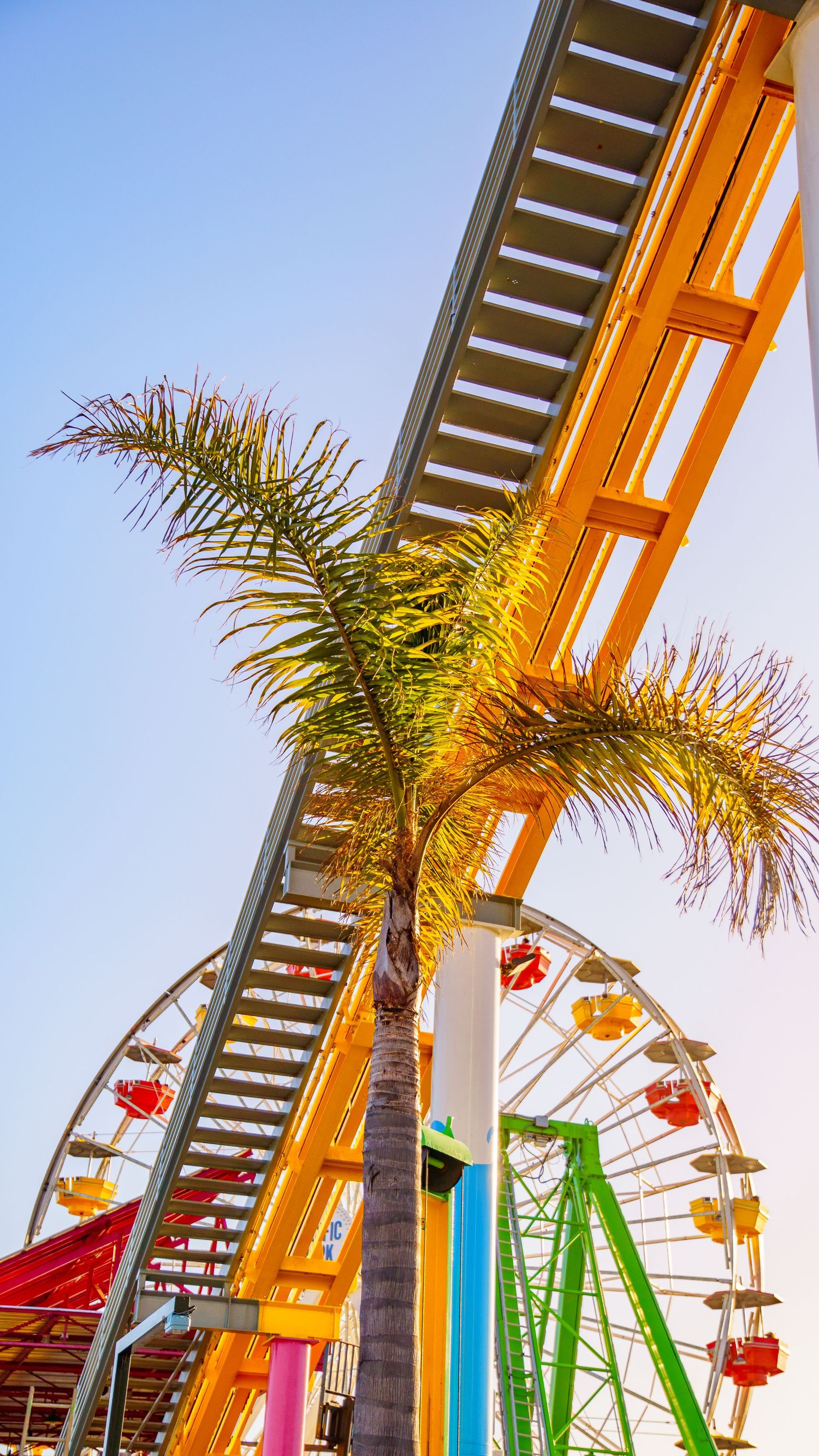 Palm tree and colorful amusement park rides against bright blue sky at Pacific Park.