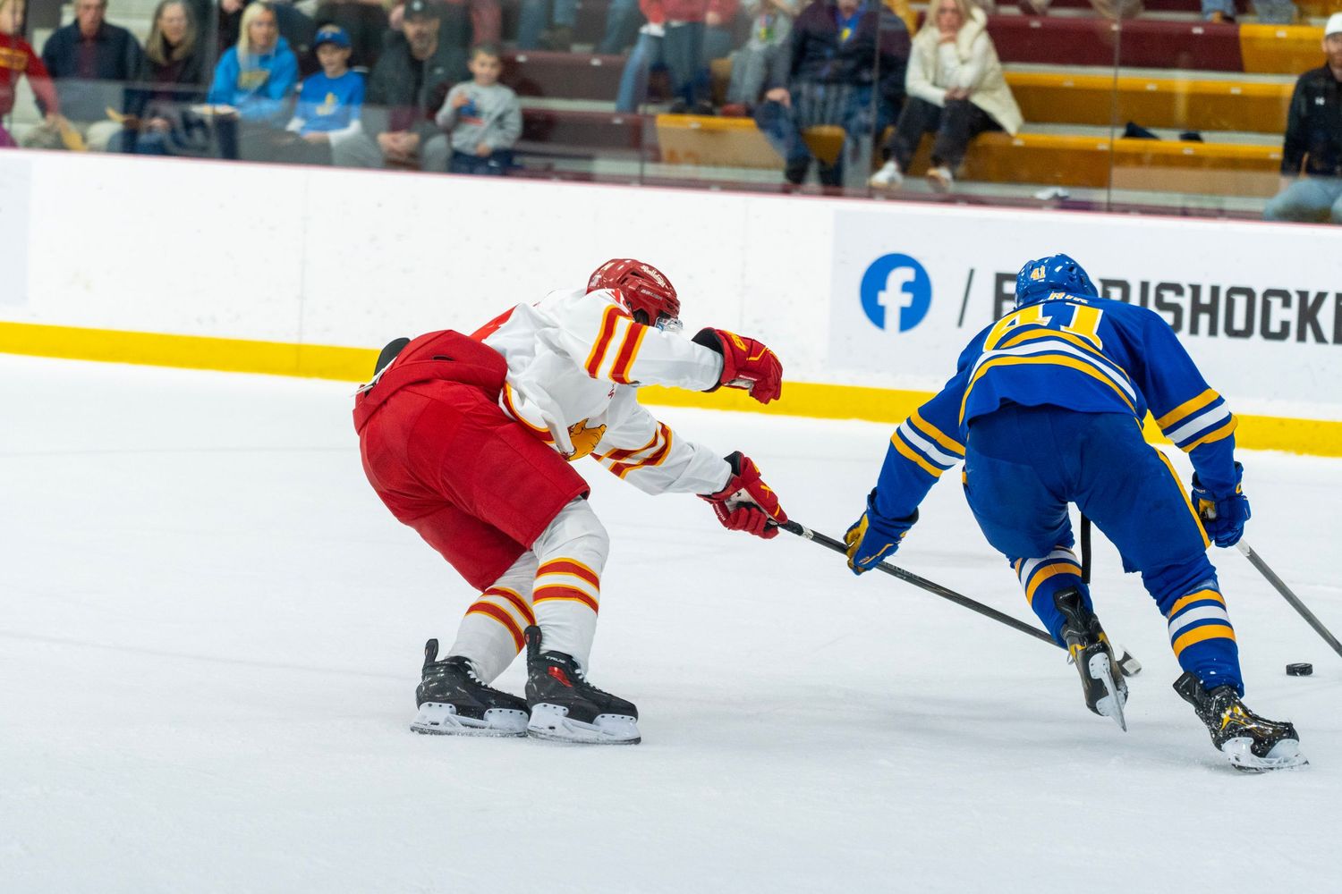 Ice hockey players in blue and red jerseys compete for the puck during an intense match.