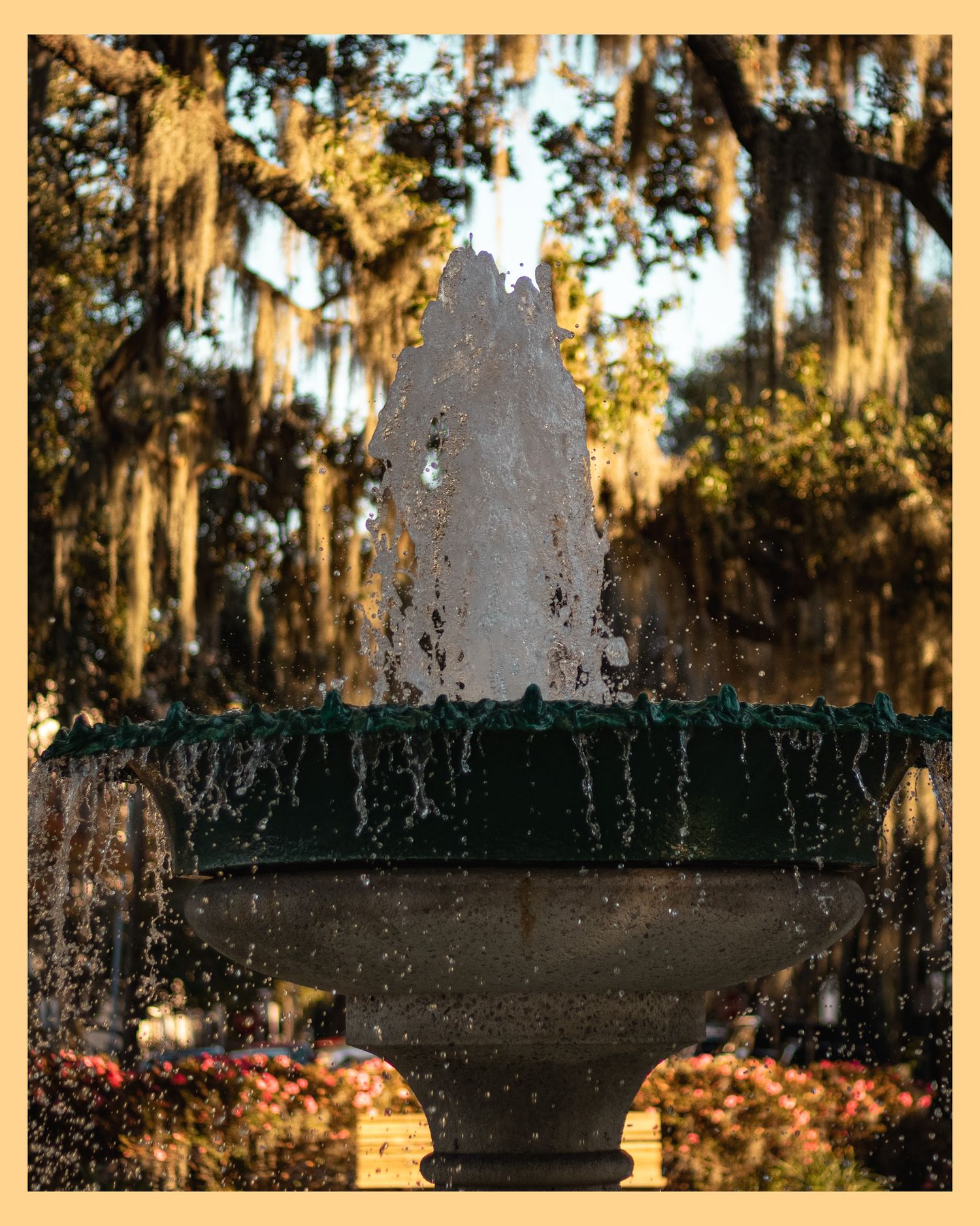Elegant fountain spraying water in a garden with Spanish moss hanging from trees in the background.