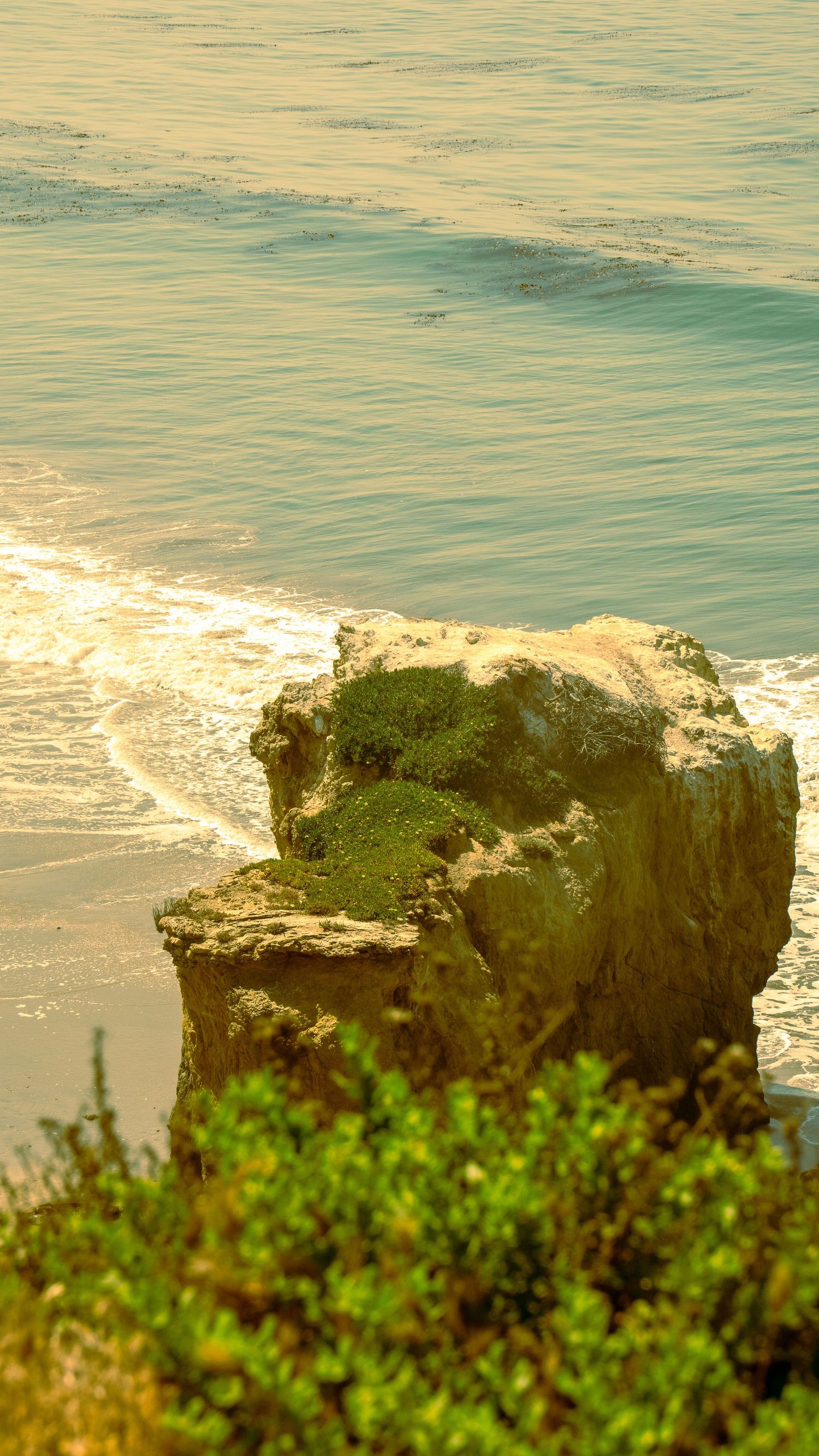 Mossy rock formation jutting out from coastal cliff against golden-tinted ocean waters.