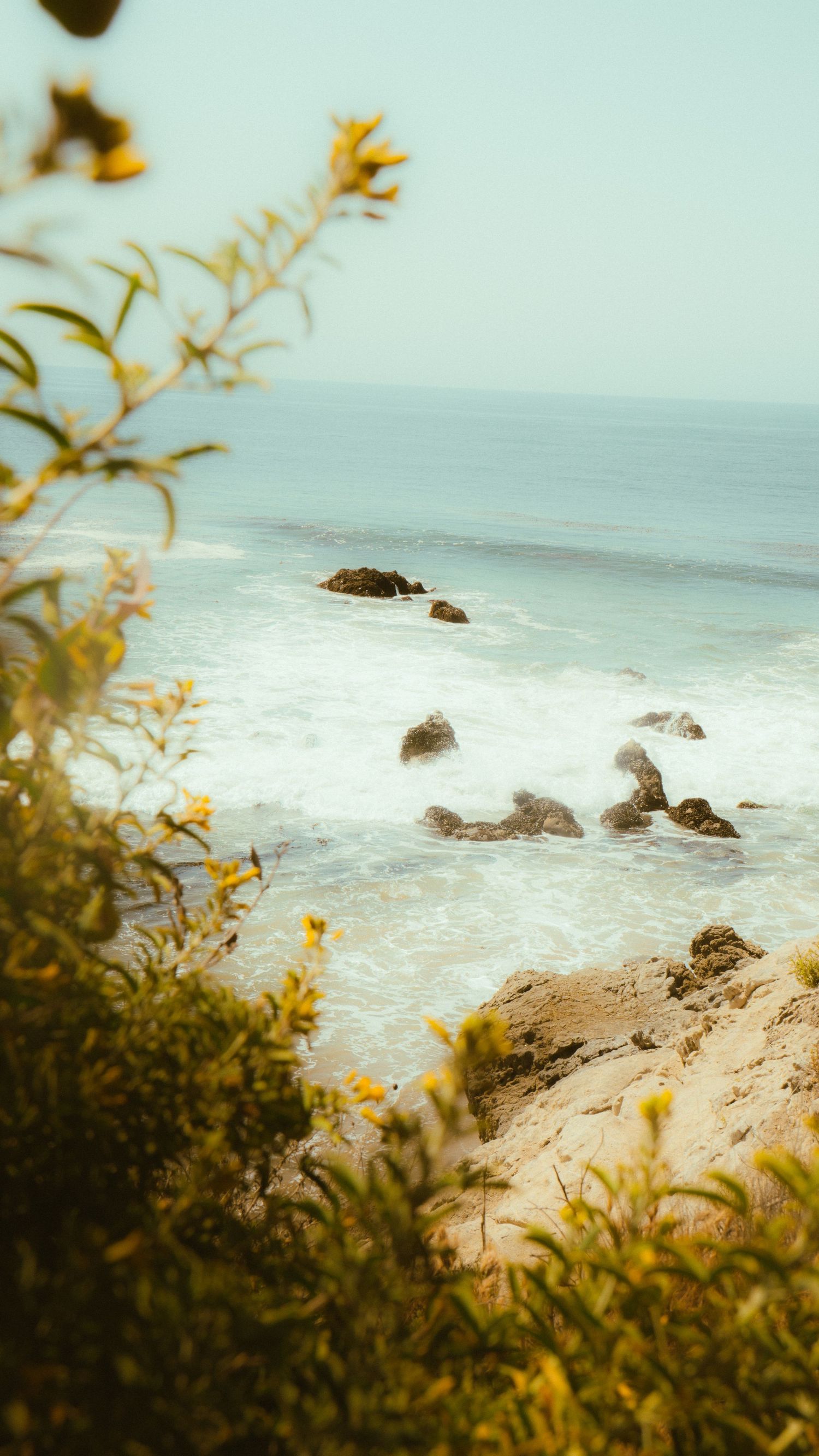 Coastal view through golden foliage showing rocks scattered in frothy ocean waves.