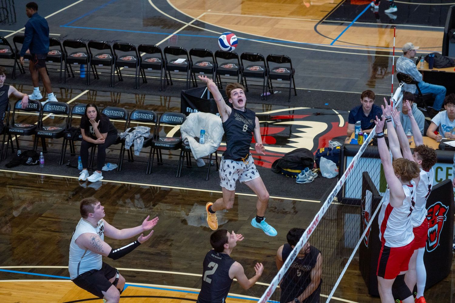 A volleyball player jumps high to spike the ball during an intense indoor match while teammates watch.