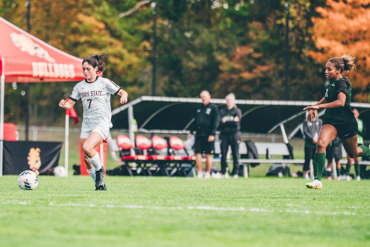 Two women's college soccer players in white and dark uniforms chase the ball on a grass field with coaches and fall foliage behind them.