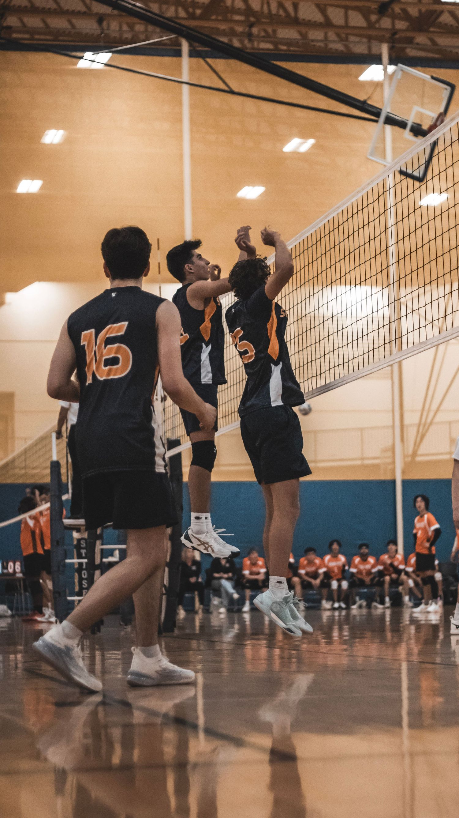 Volleyball players leap high to block a shot at the net during an indoor match.