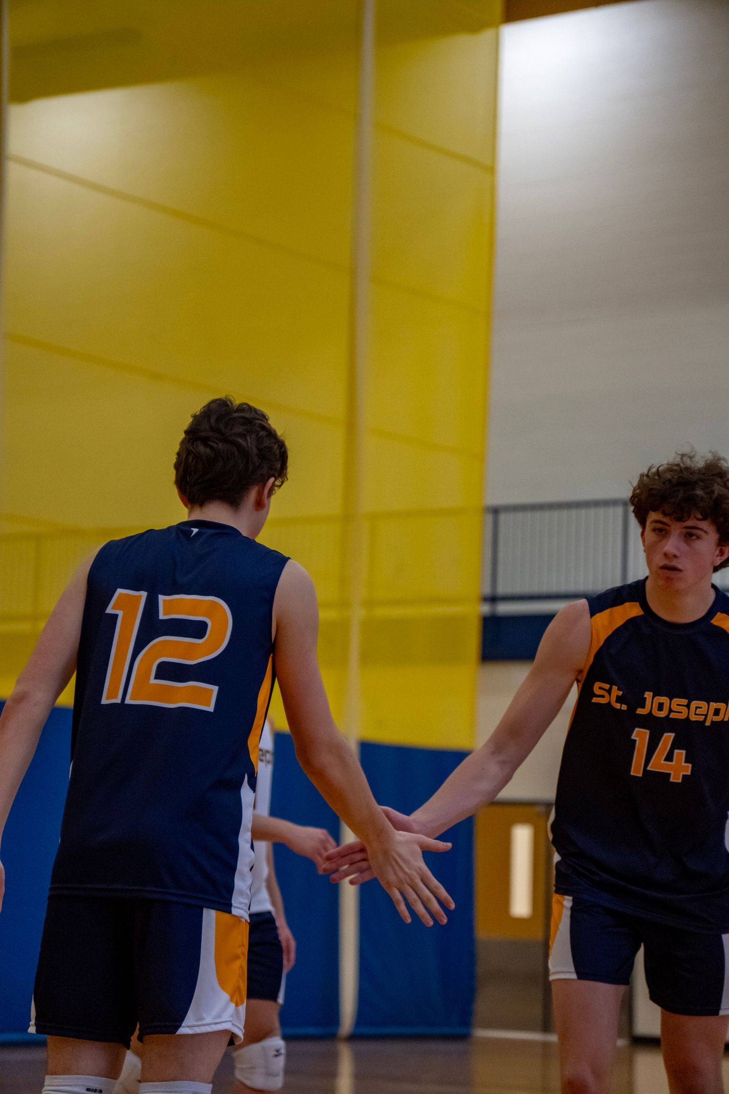 Two players in navy and gold uniforms exchanging a high five during a volleyball match.