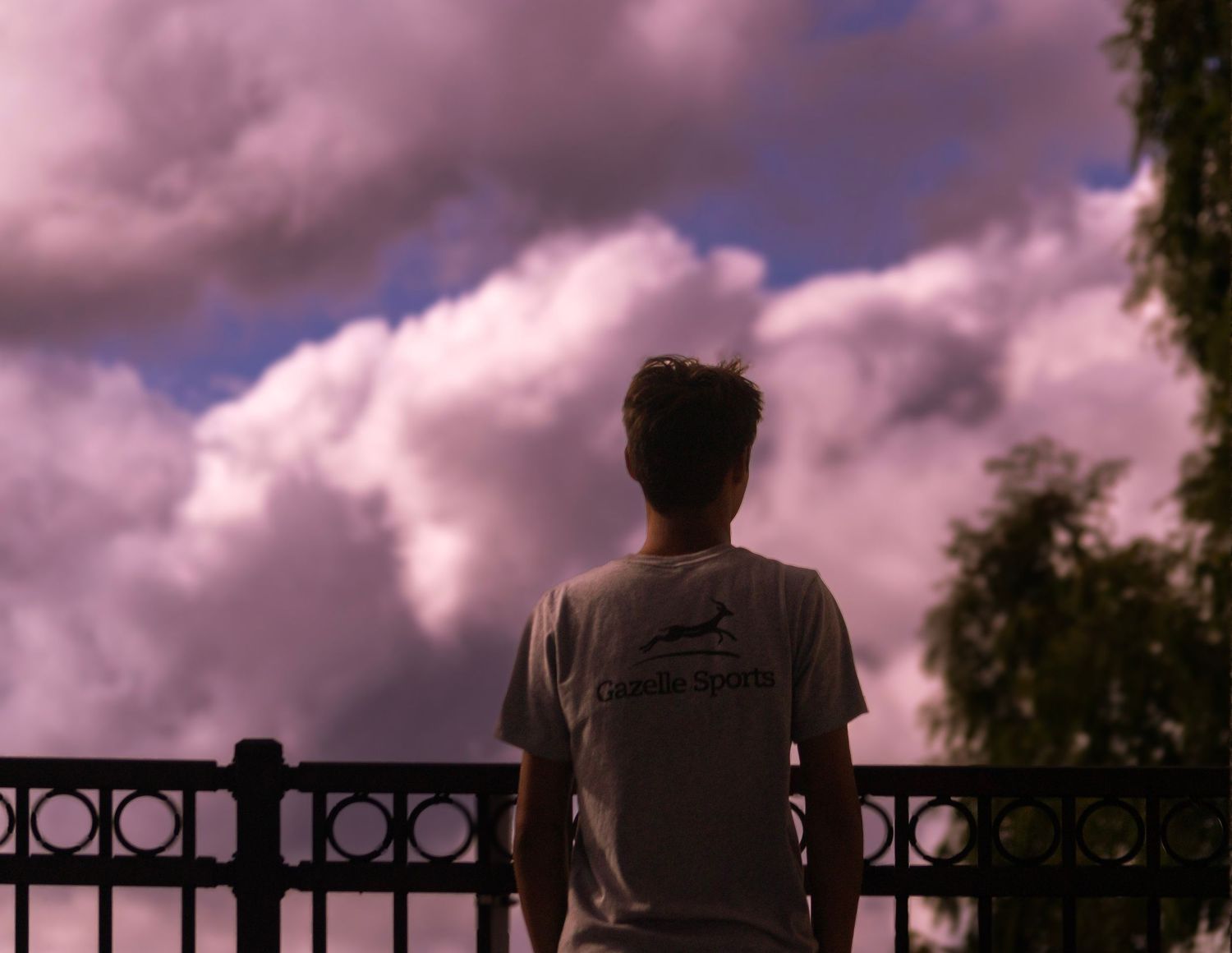 Silhouette of person looking at purple sunset sky while standing at metal railing.