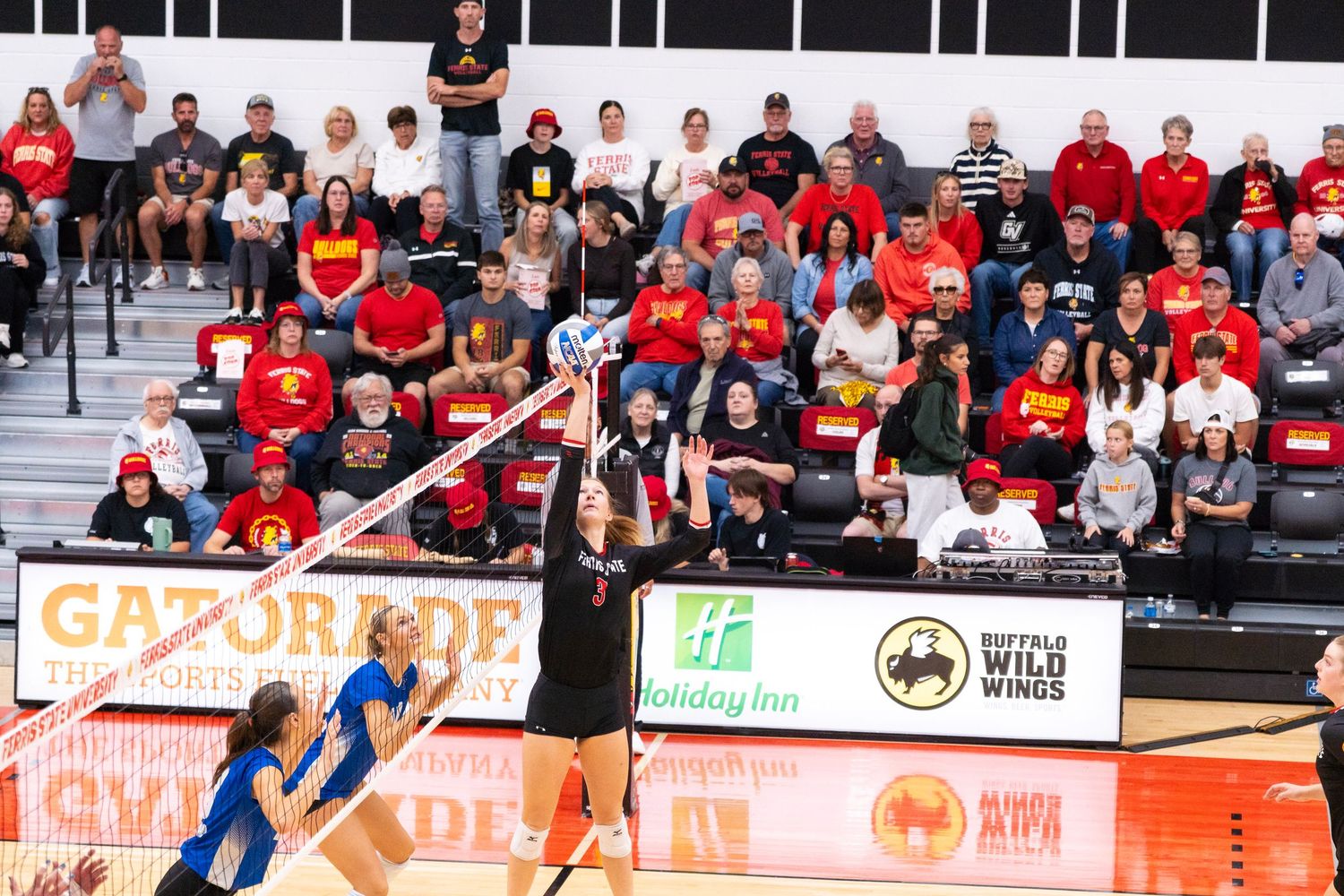 A volleyball player in black leaps to hit the ball at the net as teammates in blue watch and a crowd in red cheers from the stands.