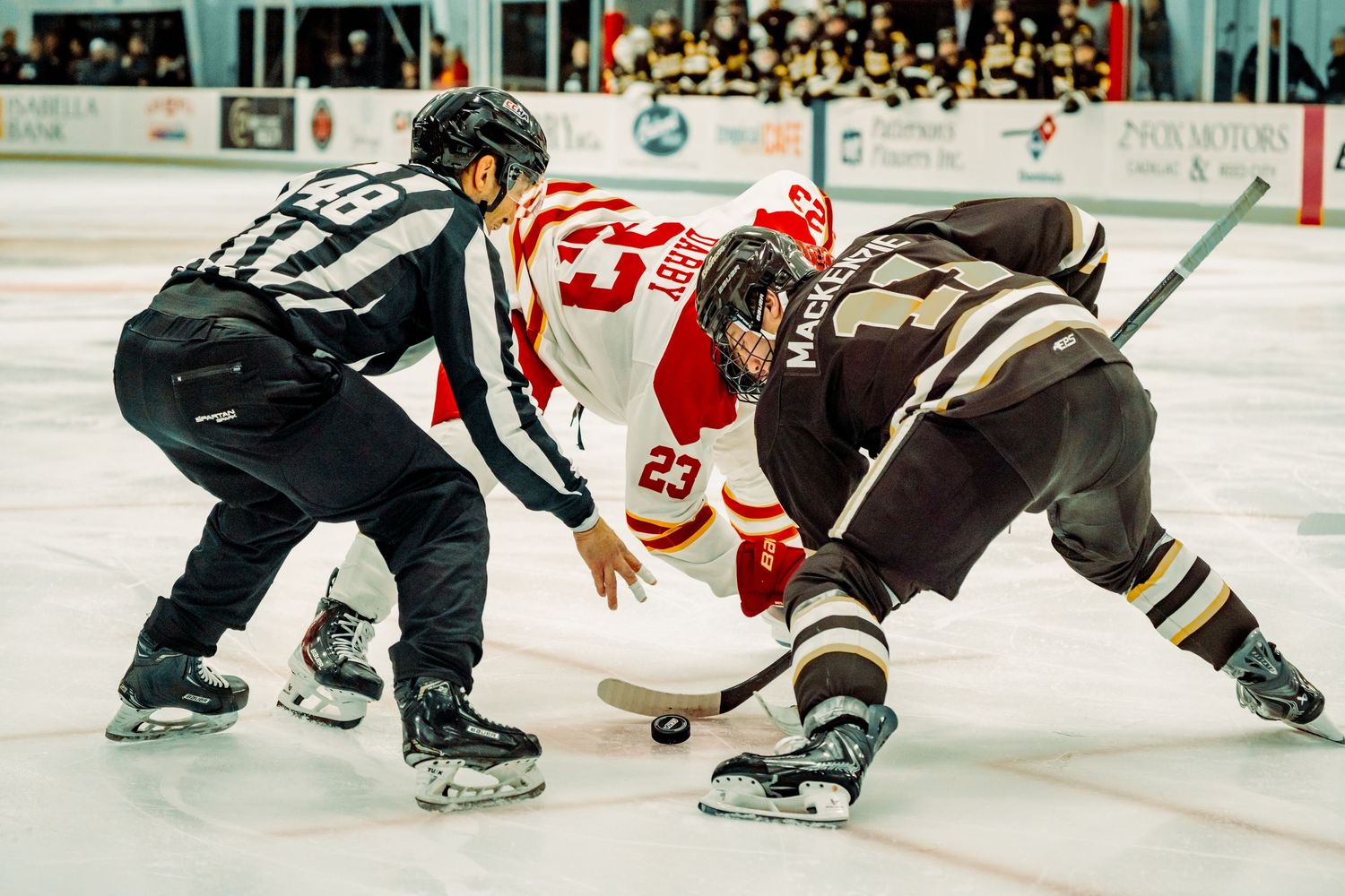 Referee drops the puck for a college hockey faceoff between a player in a white and red jersey and an opponent in a dark brown jersey.