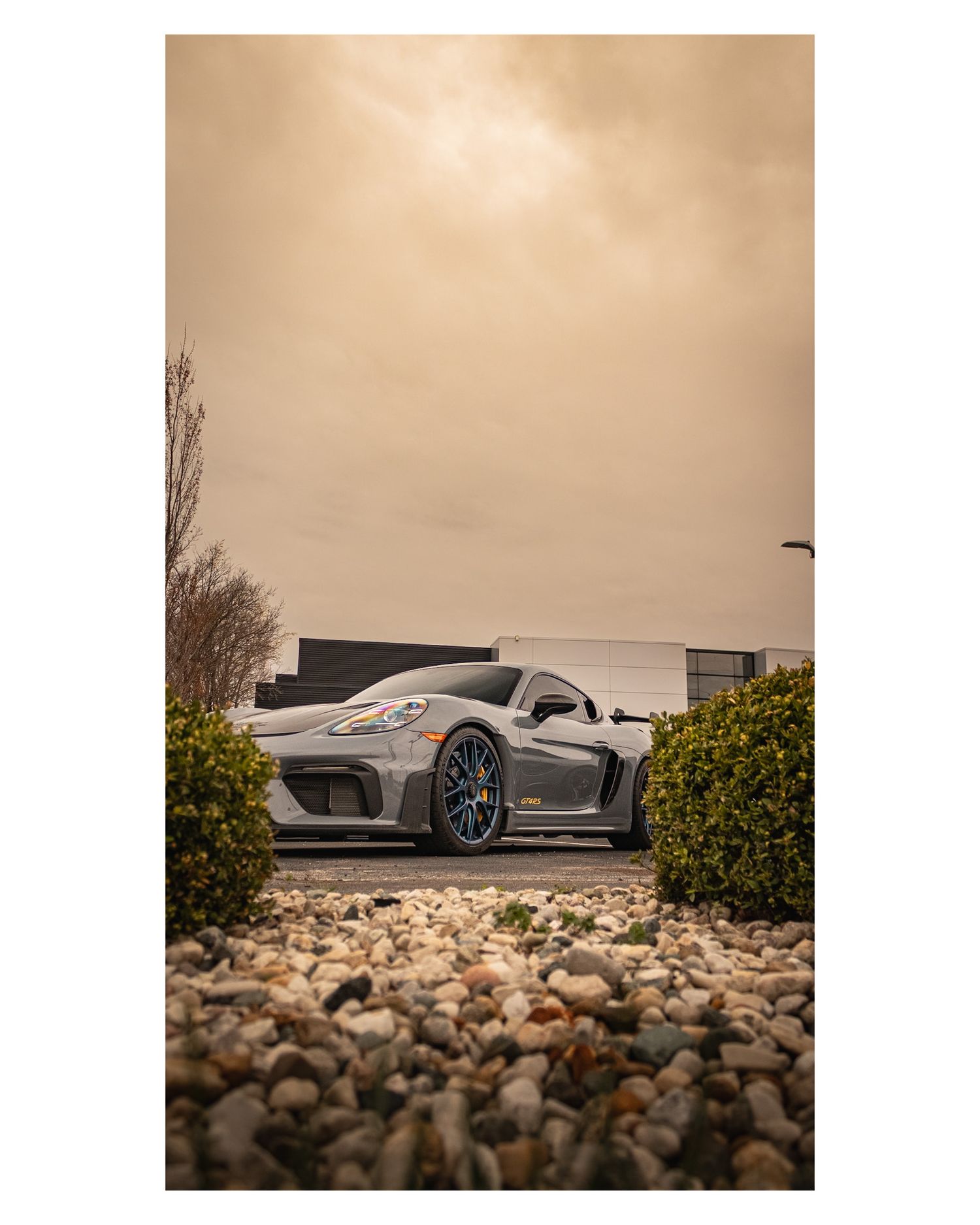 Sleek silver Porsche sports car photographed low among rocks and bushes under moody sky.