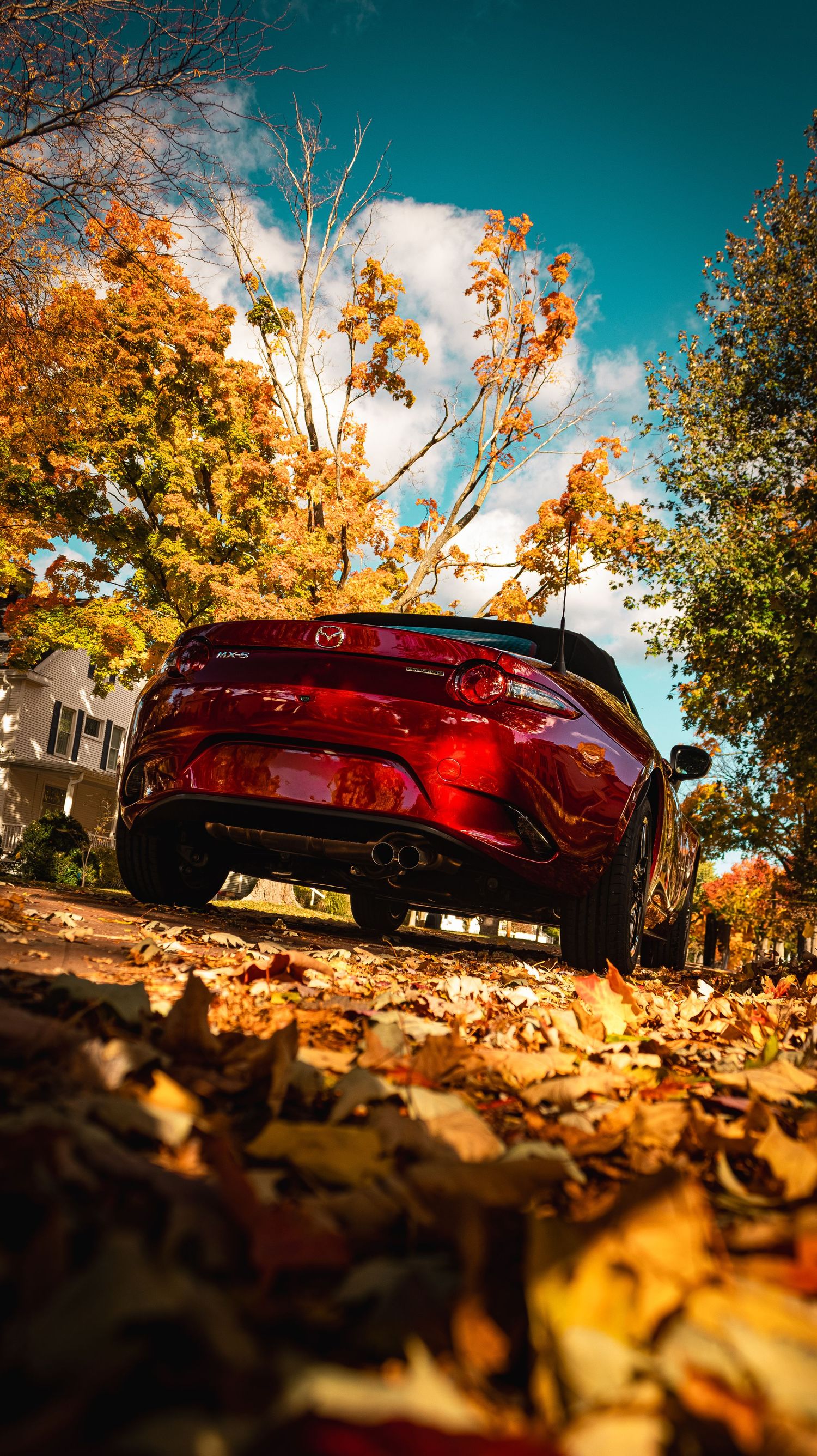 Low angle view of red Mazda Miata surrounded by fallen autumn leaves against bright turquoise sky.